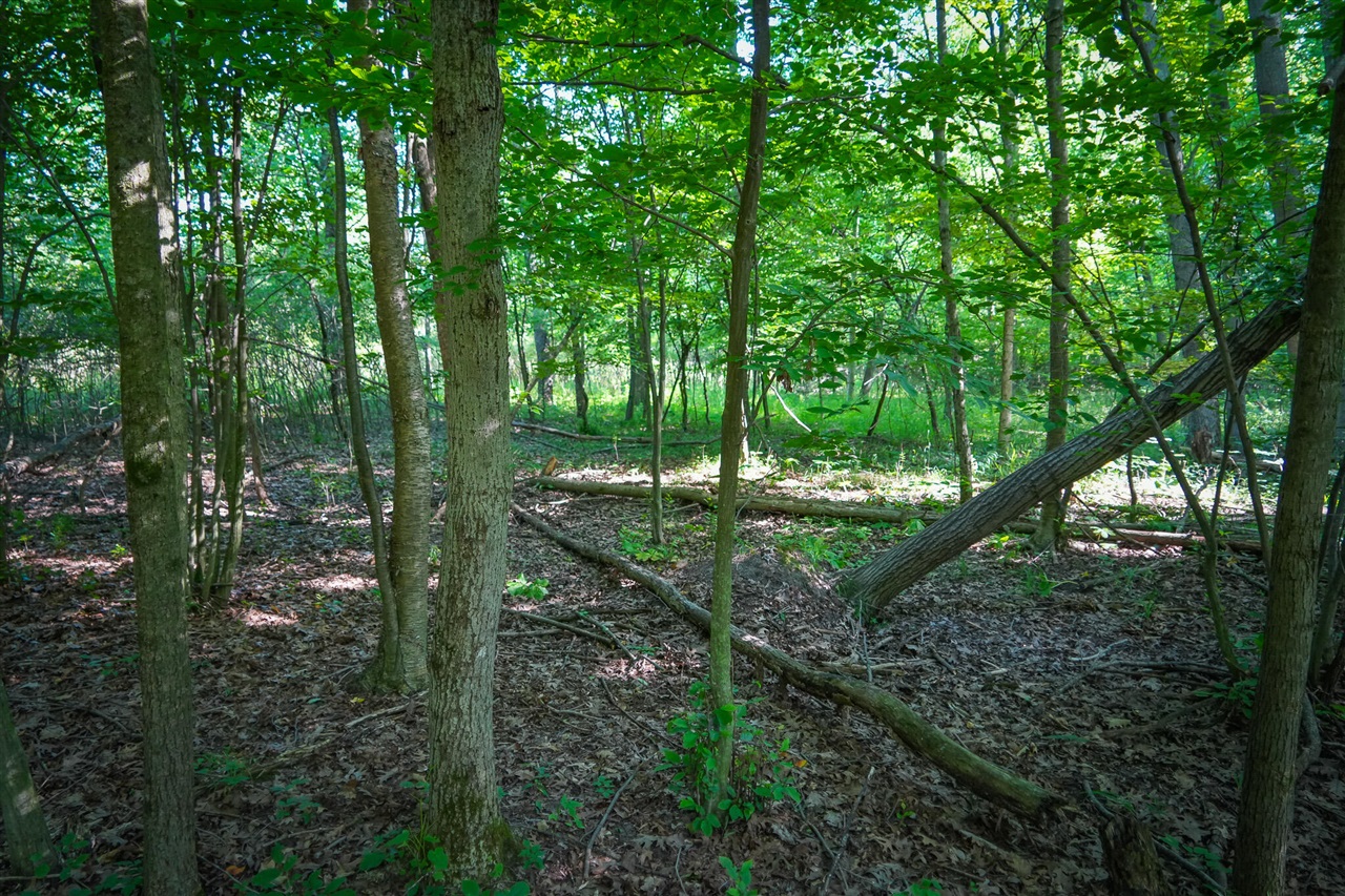 Photo 4 of Land for sale at V/l S 12a 168th Ave, Hesperia, MI 49421 | MLS# 70562666 | Listing updated on 2026-10-05