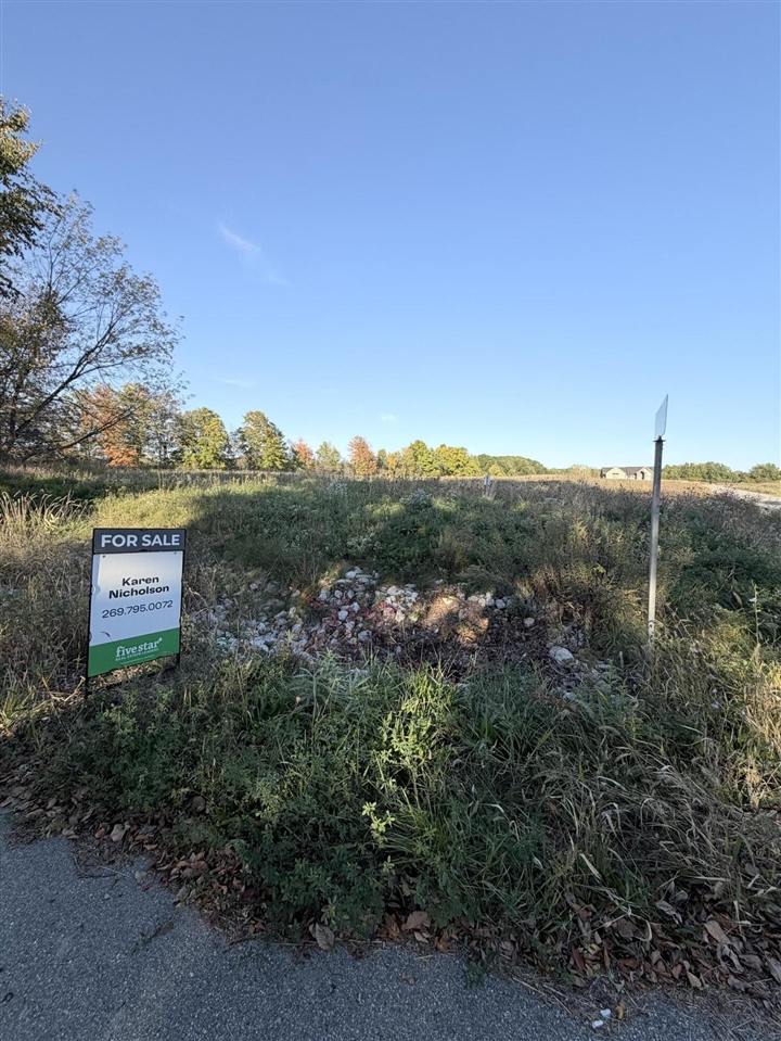 Photo 2 of Land for sale at 6637 Rainey Ct, Caledonia, MI 49316 | MLS# 70562906 | Listing updated on 2026-10-07
