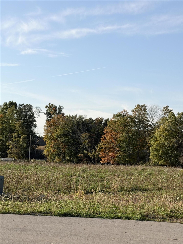 Photo 4 of Land for sale at 6637 Rainey Ct, Caledonia, MI 49316 | MLS# 70562906 | Listing updated on 2026-10-07