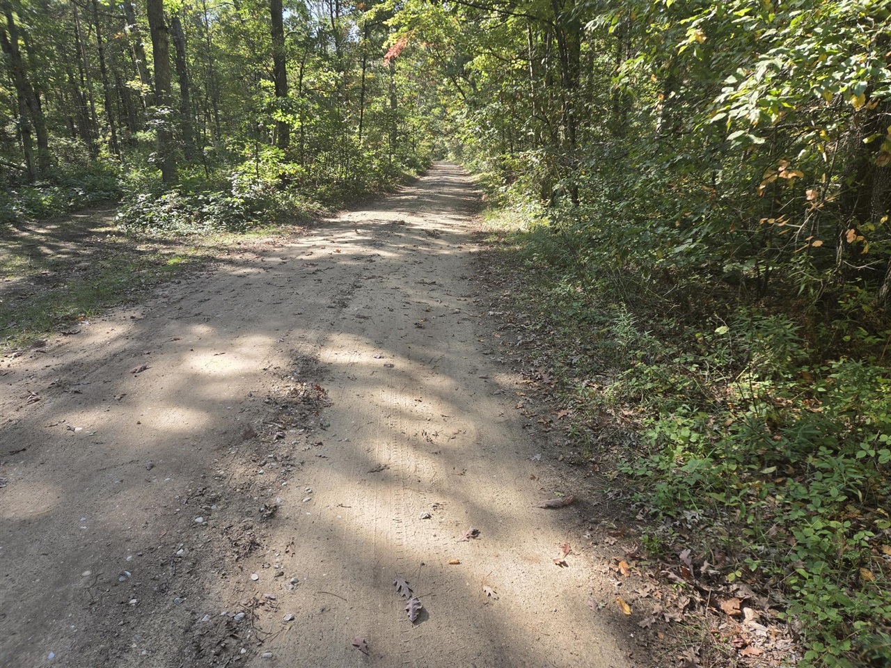Photo 4 of Land for sale at S Jeanne Dr, Baldwin, MI 49304 | MLS# 70562927 | Listing updated on 2026-10-07