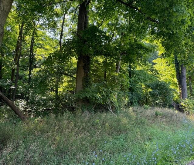 Photo 4 of Land for sale at 30, 40 50 62nd, Decatur, MI 49045 | MLS# 70563023 | Listing updated on 2026-10-14