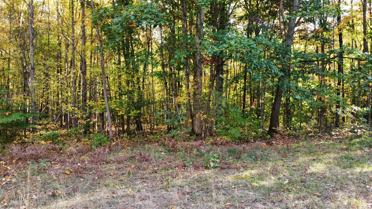 Land for sale at 0 Vl 105th Ave, Allegan, MI 49010 | MLS# 70564050
