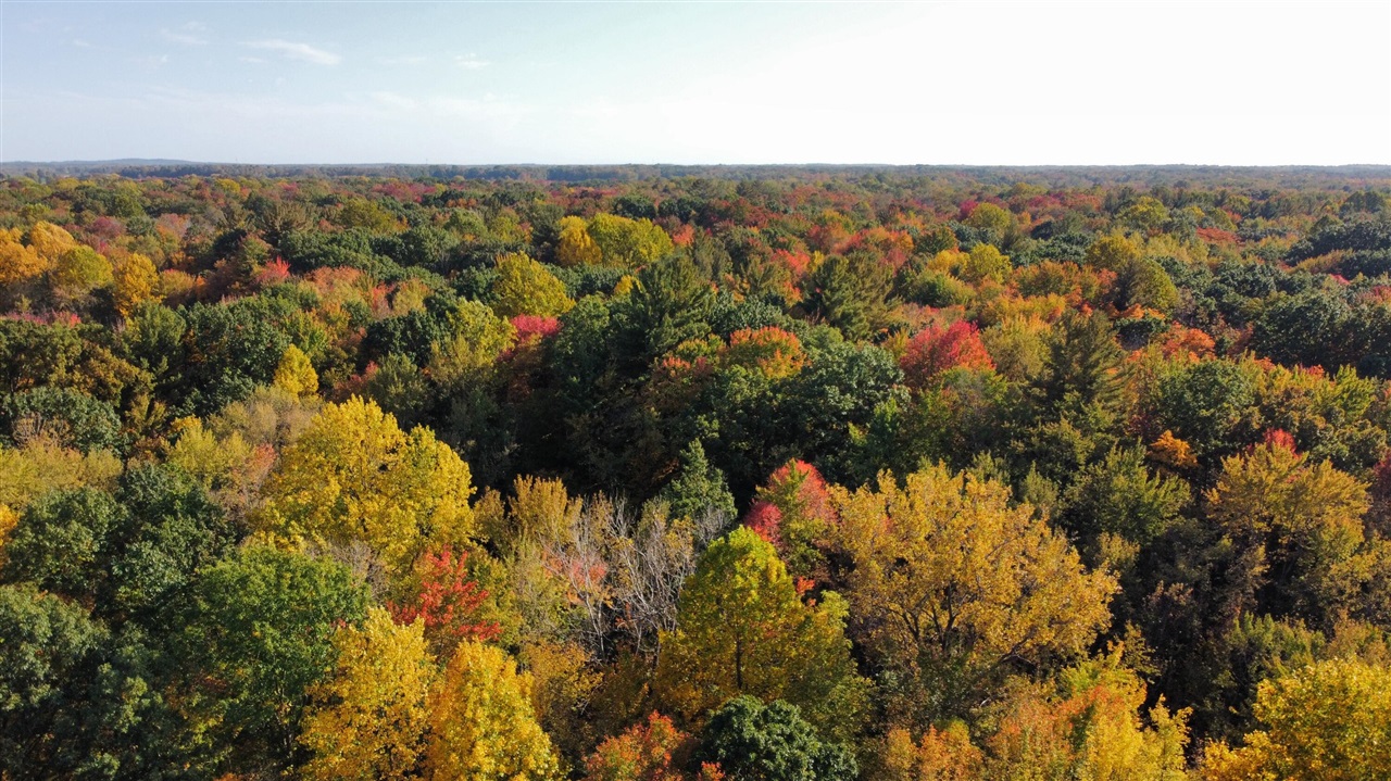 Photo 2 of Land for sale at 0 Vl 105th Ave, Allegan, MI 49010 | MLS# 70564050 | Listing updated on 2026-10-13