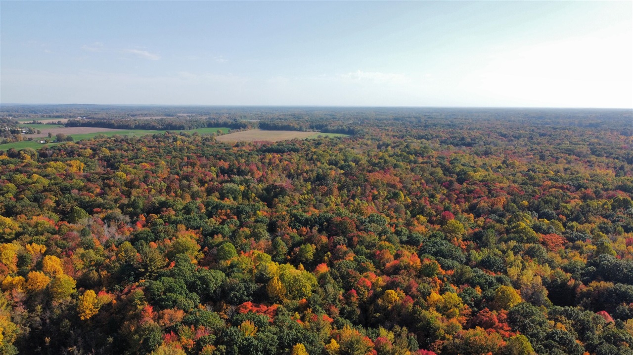 Photo 4 of Land for sale at 0 Vl 105th Ave, Allegan, MI 49010 | MLS# 70564050 | Listing updated on 2026-10-13