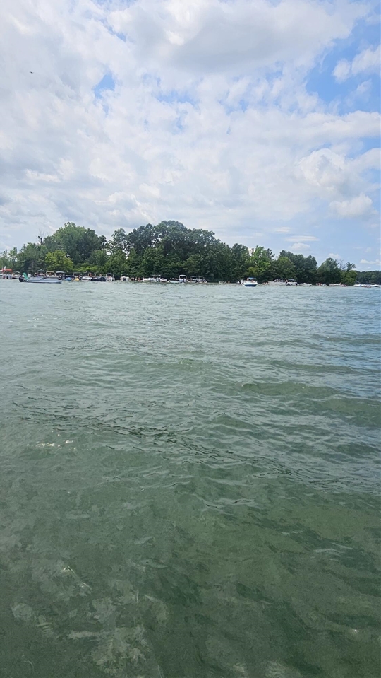 Photo 2 of Land for sale at V/l S Marsh Rd, Shelbyville, MI 49344 | MLS# 70564276 | Listing updated on 2026-10-21