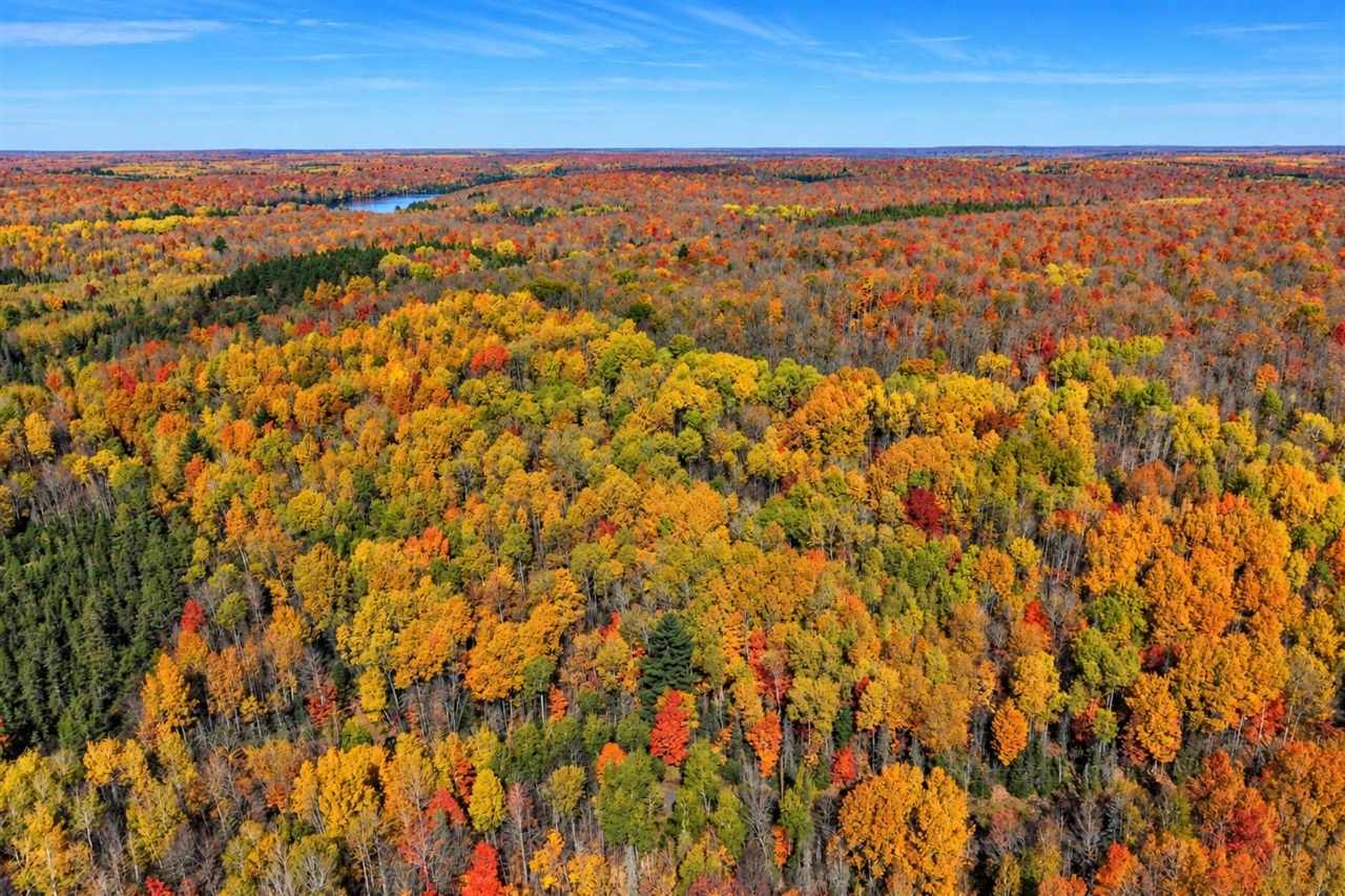 Photo 2 of Land for sale at 00000 Sheltrow Rd, Crystal Falls, MI 49920 | MLS# 70564347 | Listing updated on 2026-10-15