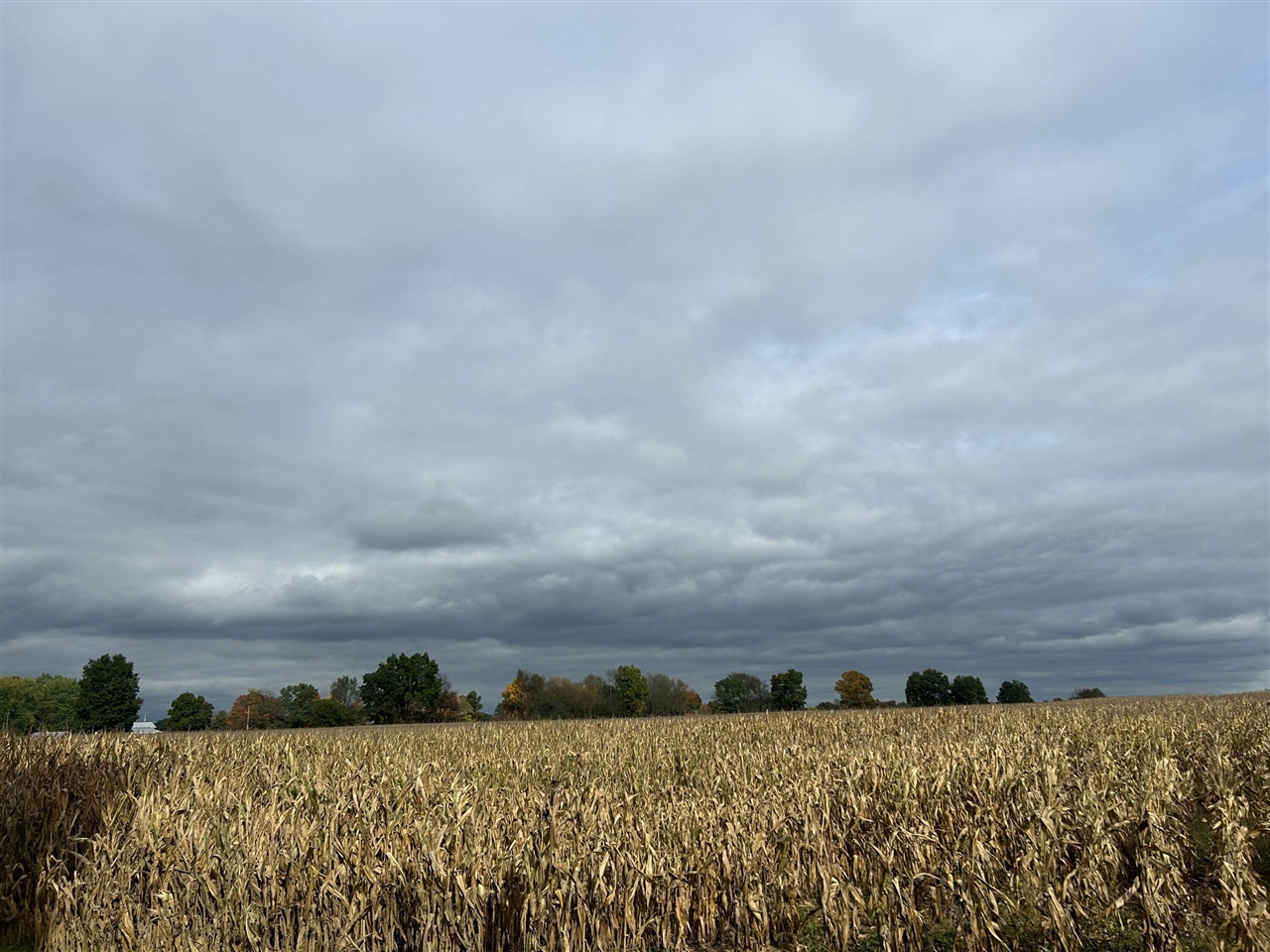 Photo 3 of Sale Pending at Noonan Rd, Hickory Corners, MI 49060 | MLS# 70564832 | Listing updated on 2026-10-20