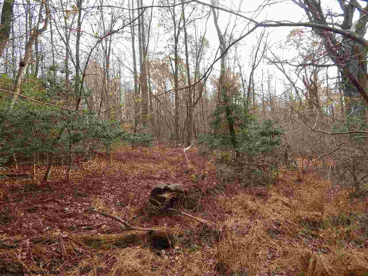 Gallery Image 6