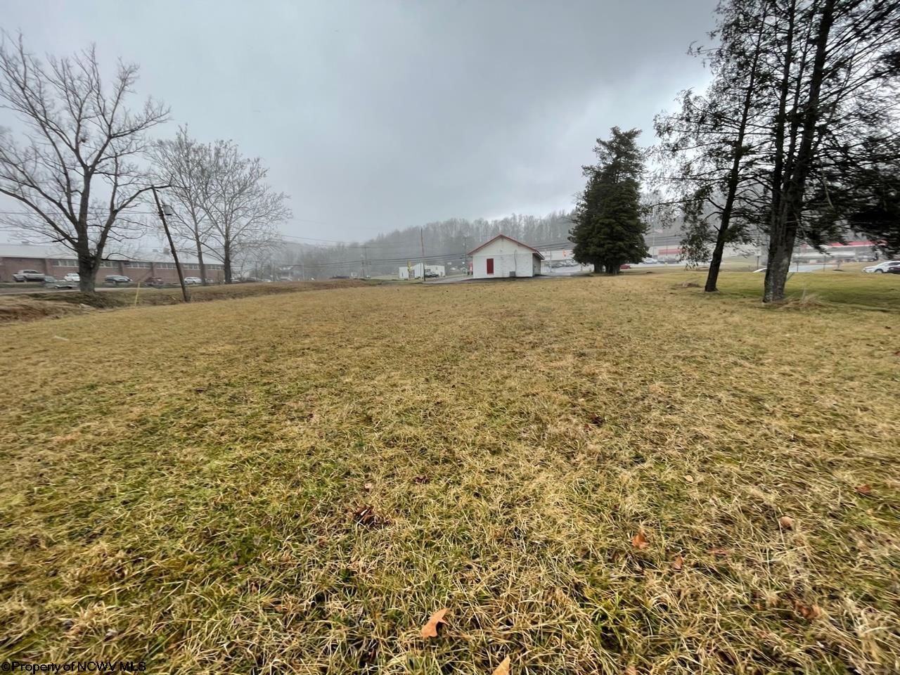 Gallery Image 11
