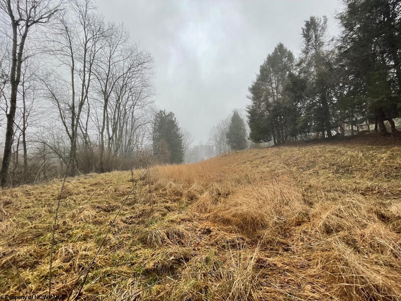 Gallery Image 14
