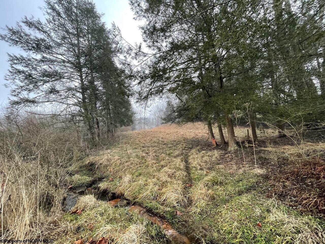 Gallery Image 15