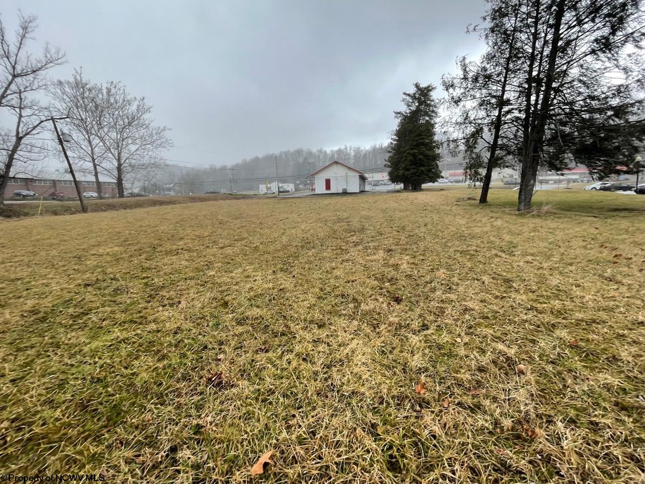 Gallery Image 16