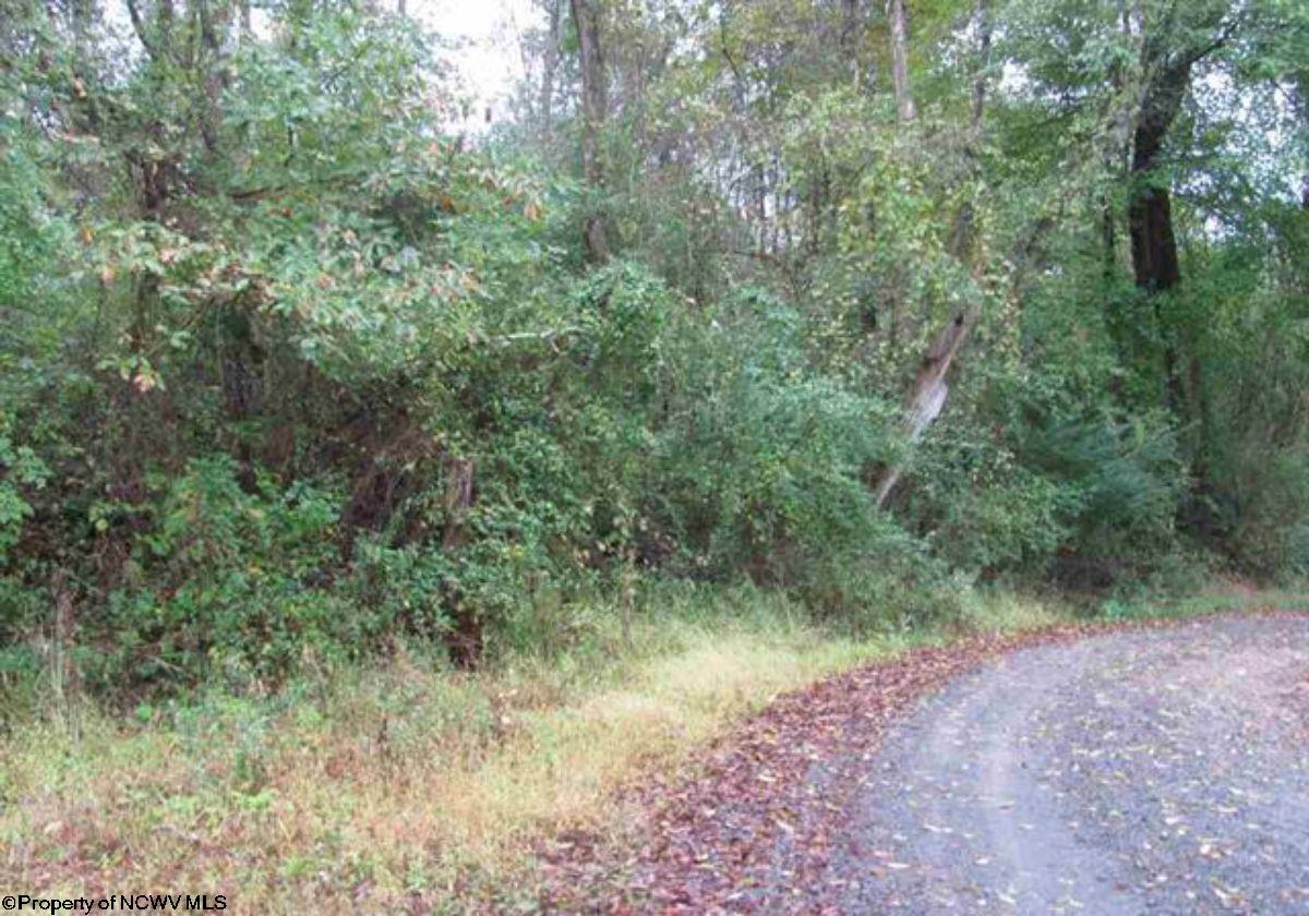 Gallery Image 6