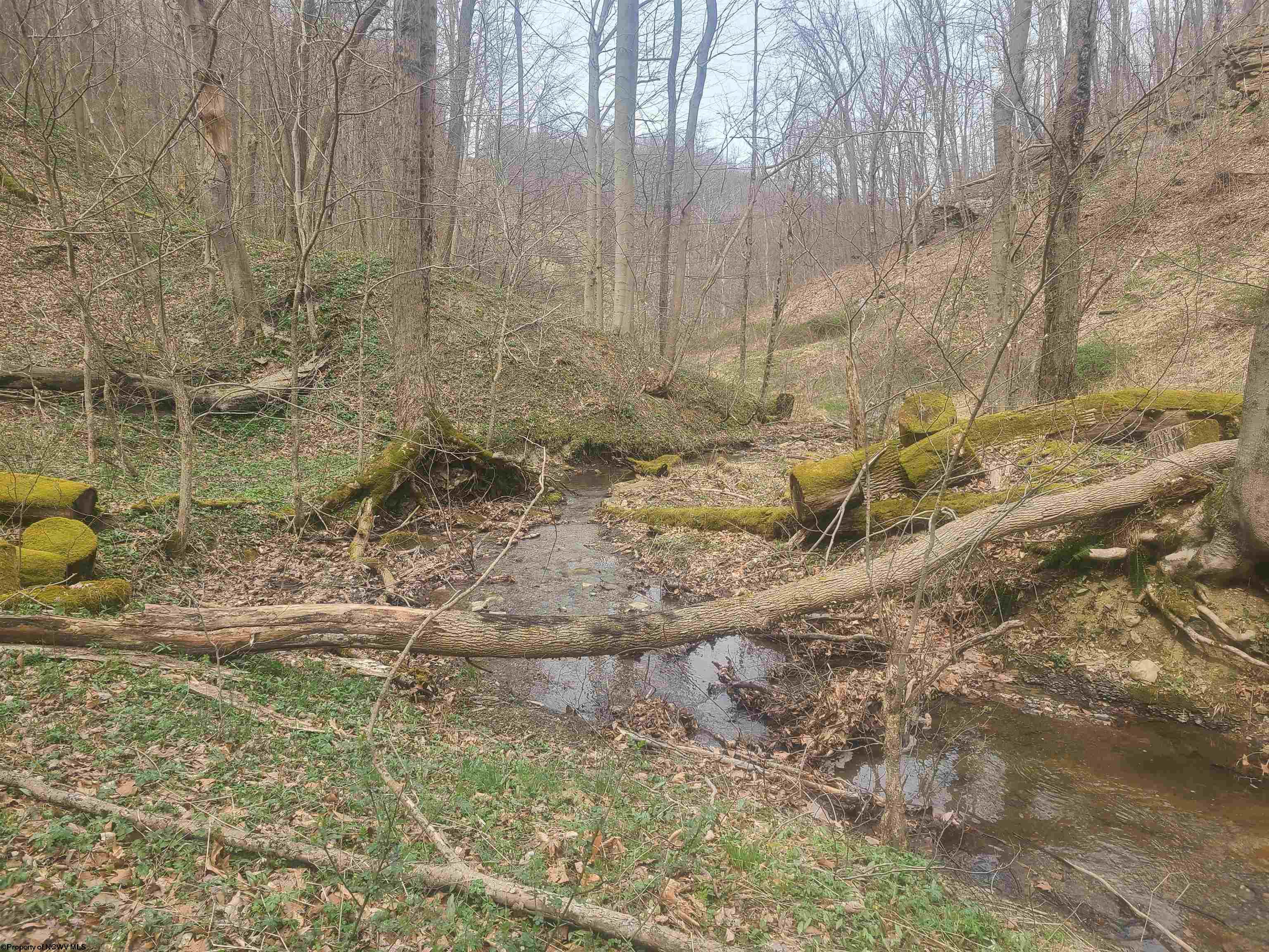Gallery Image 10