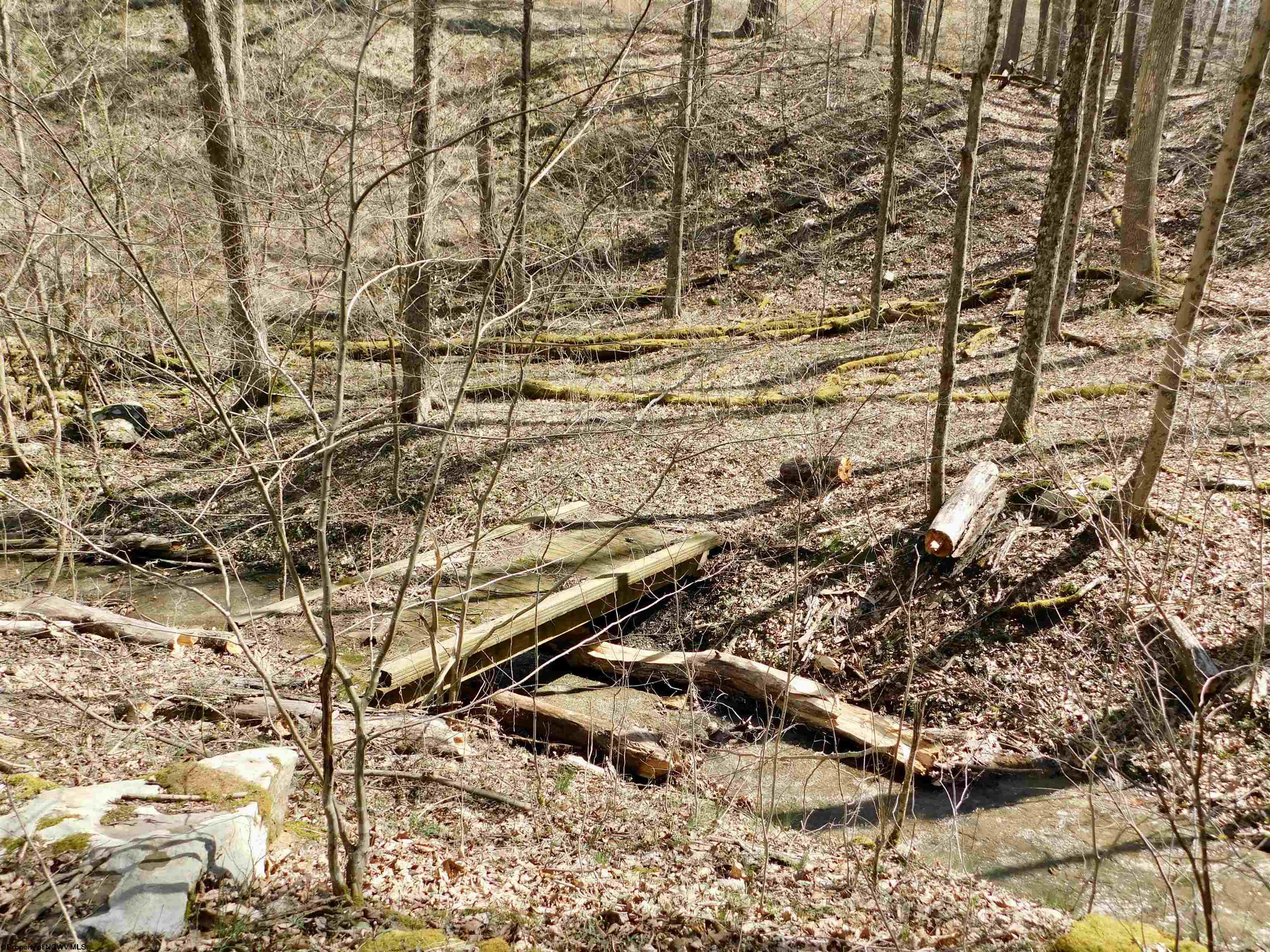 Gallery Image 12