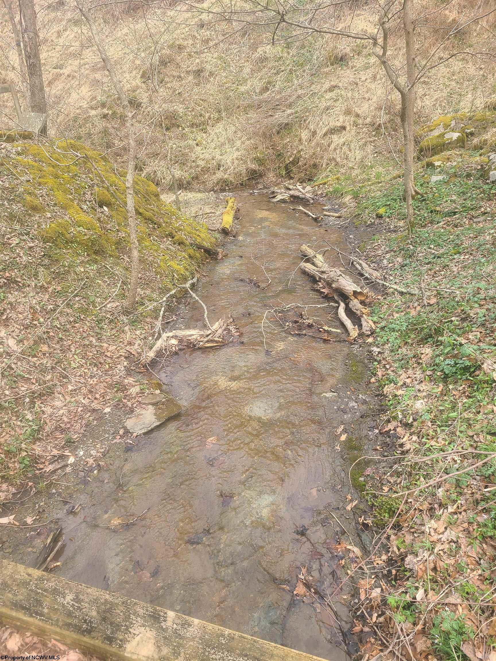 Gallery Image 13