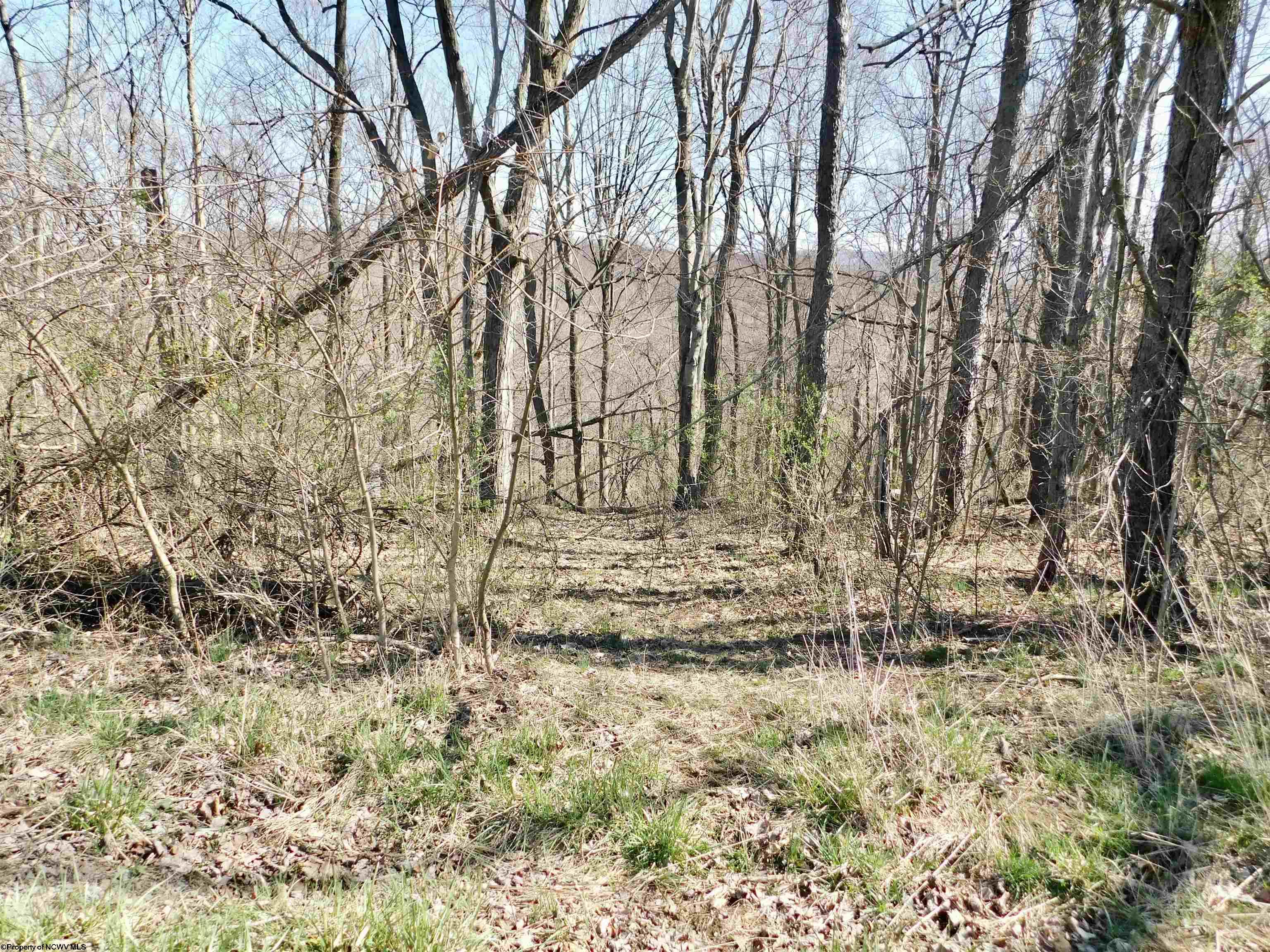 Gallery Image 14
