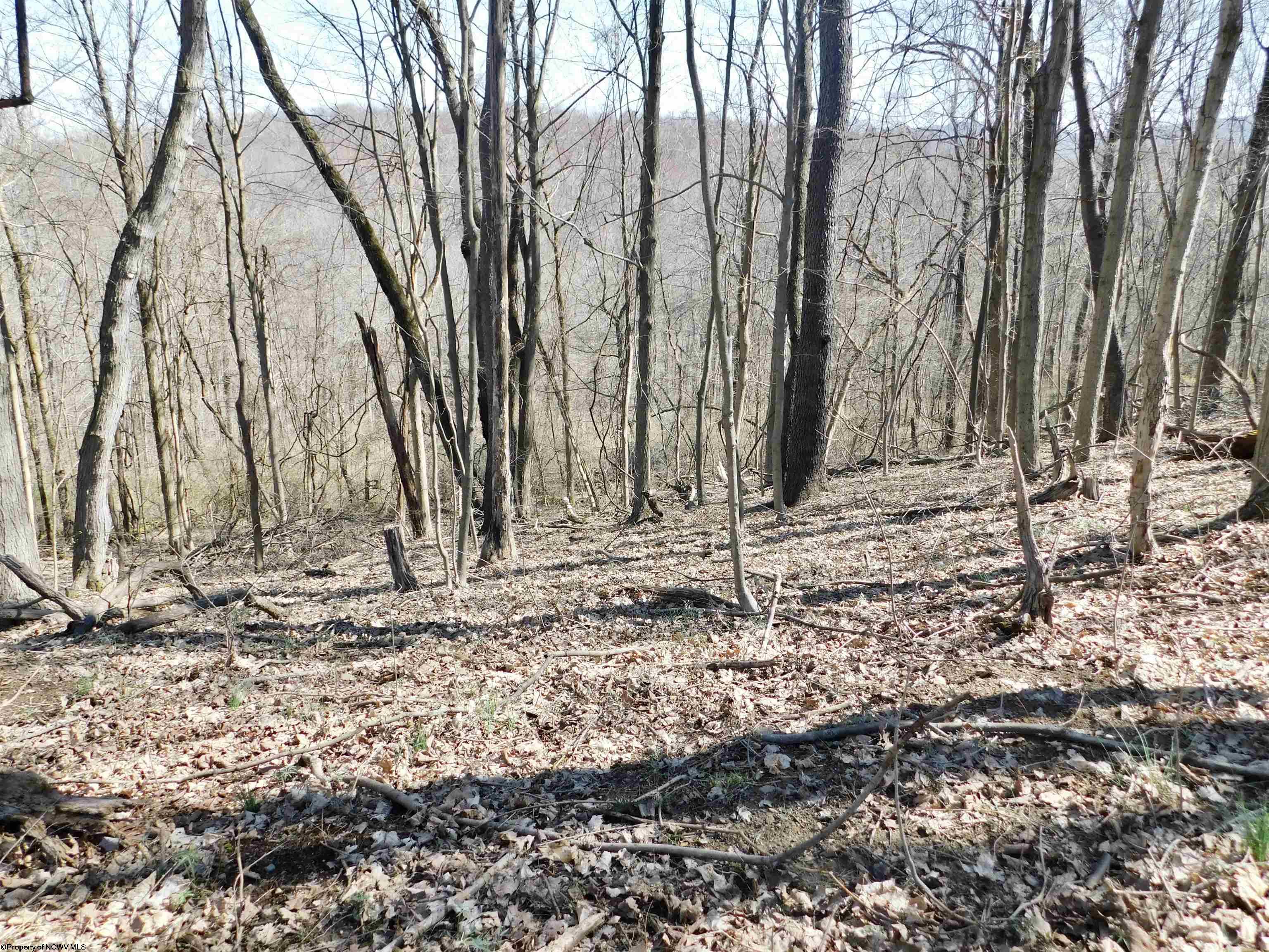 Gallery Image 15
