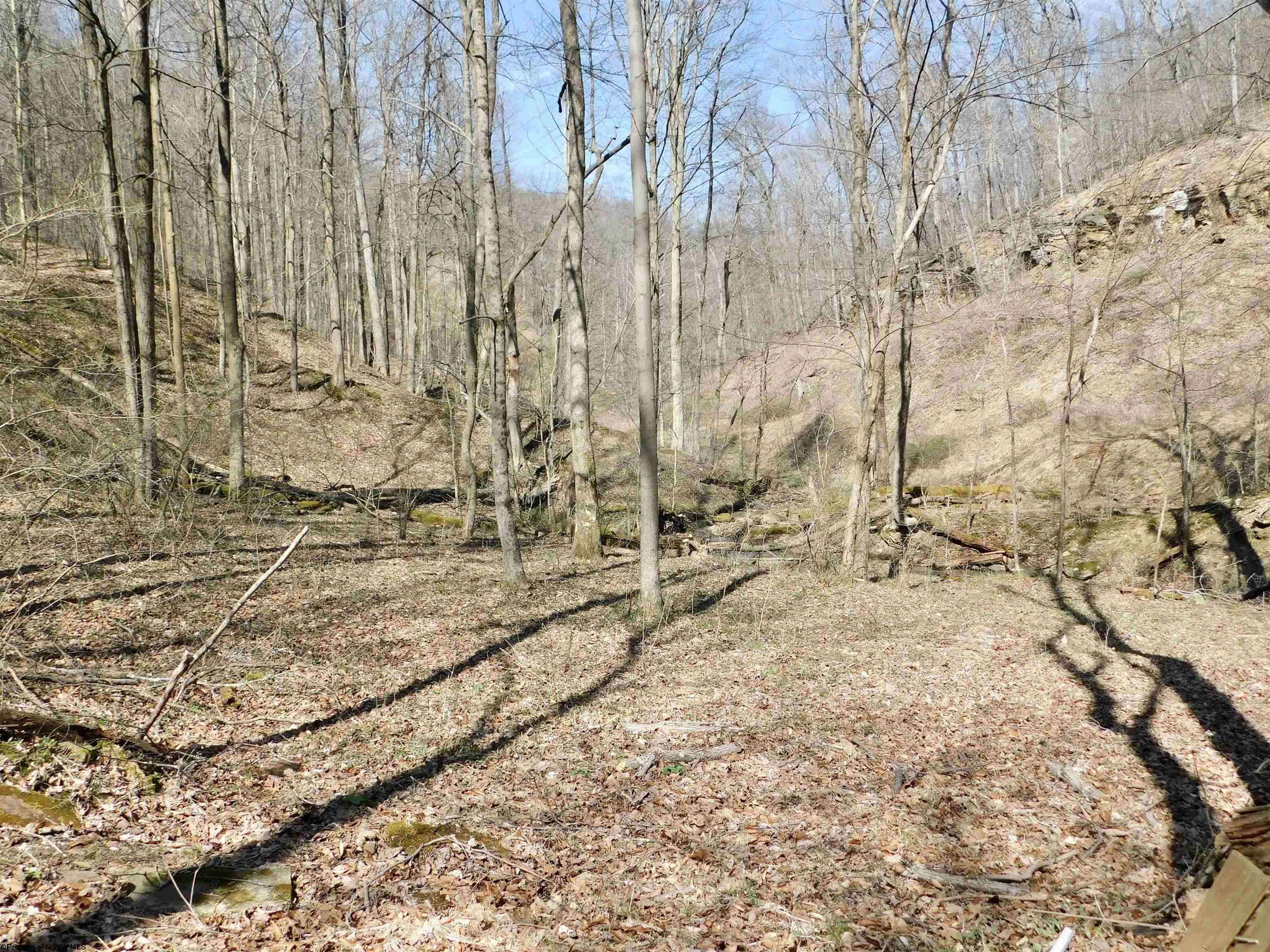 Gallery Image 16