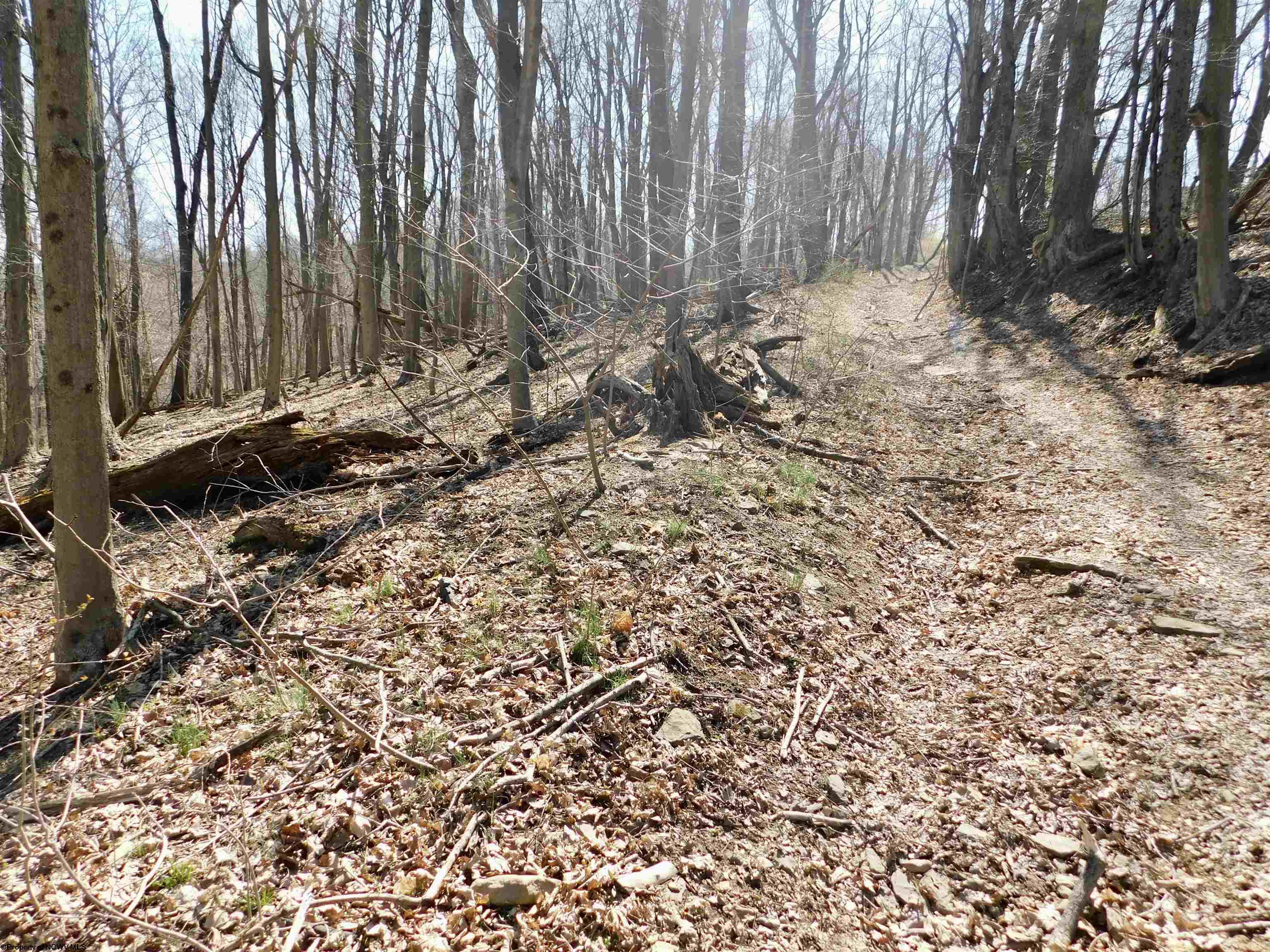 Gallery Image 18