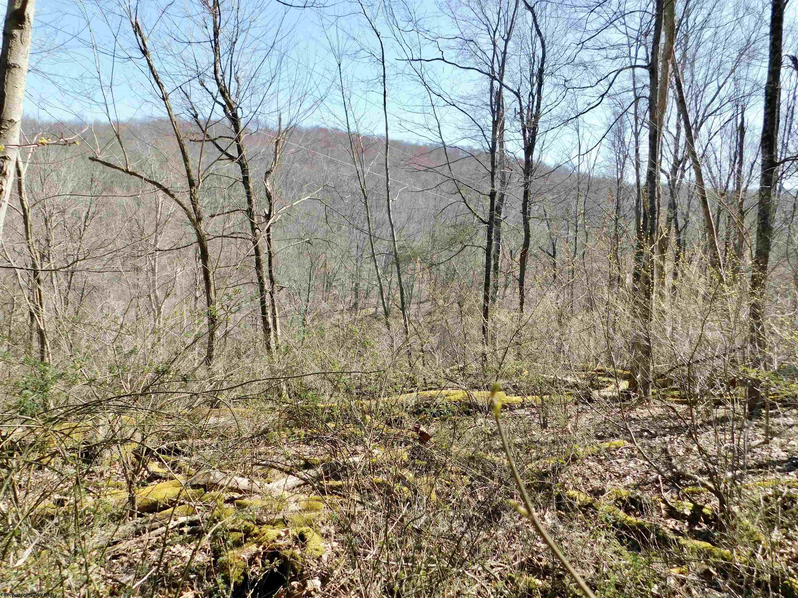 Gallery Image 21