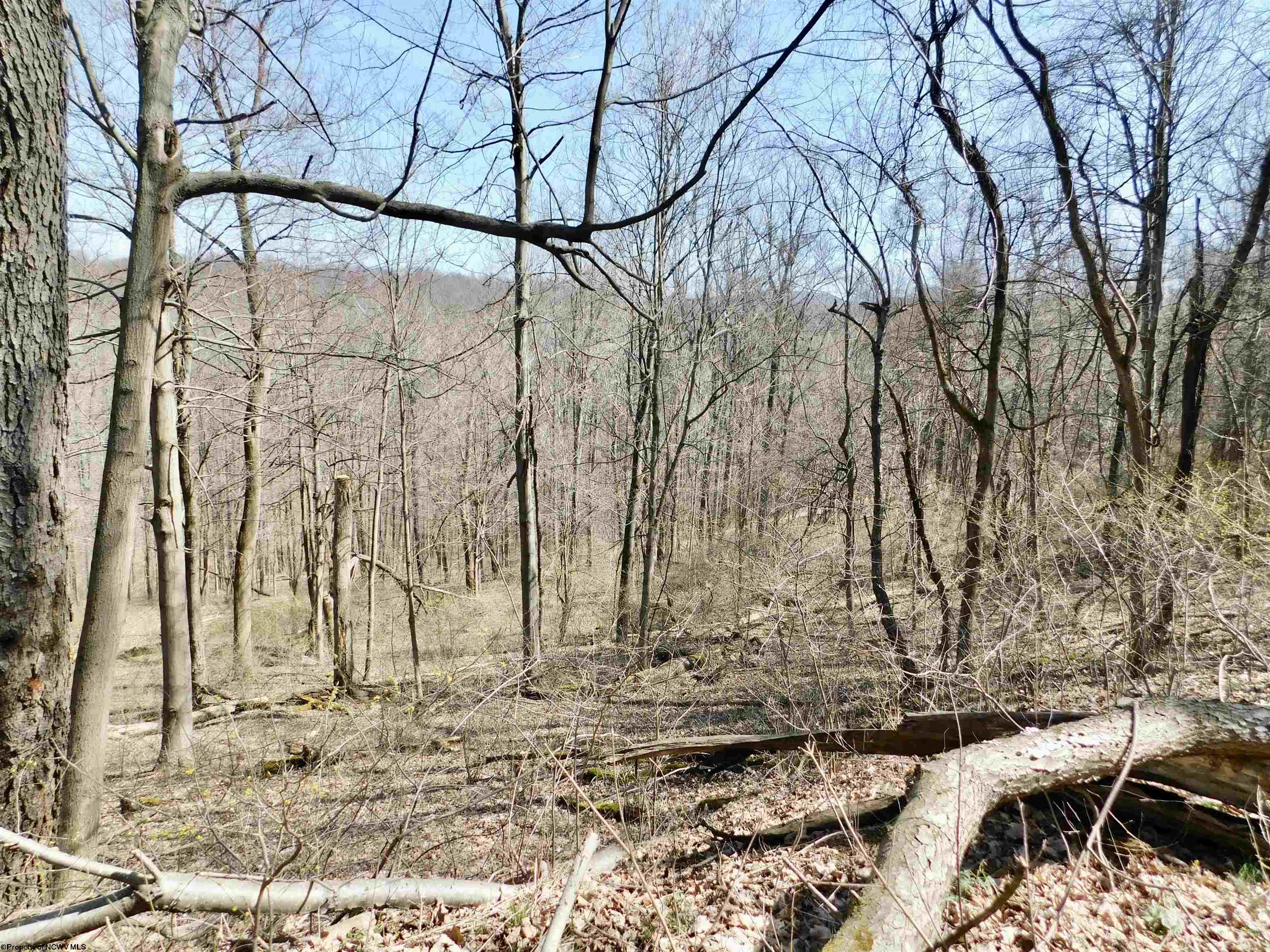 Gallery Image 29