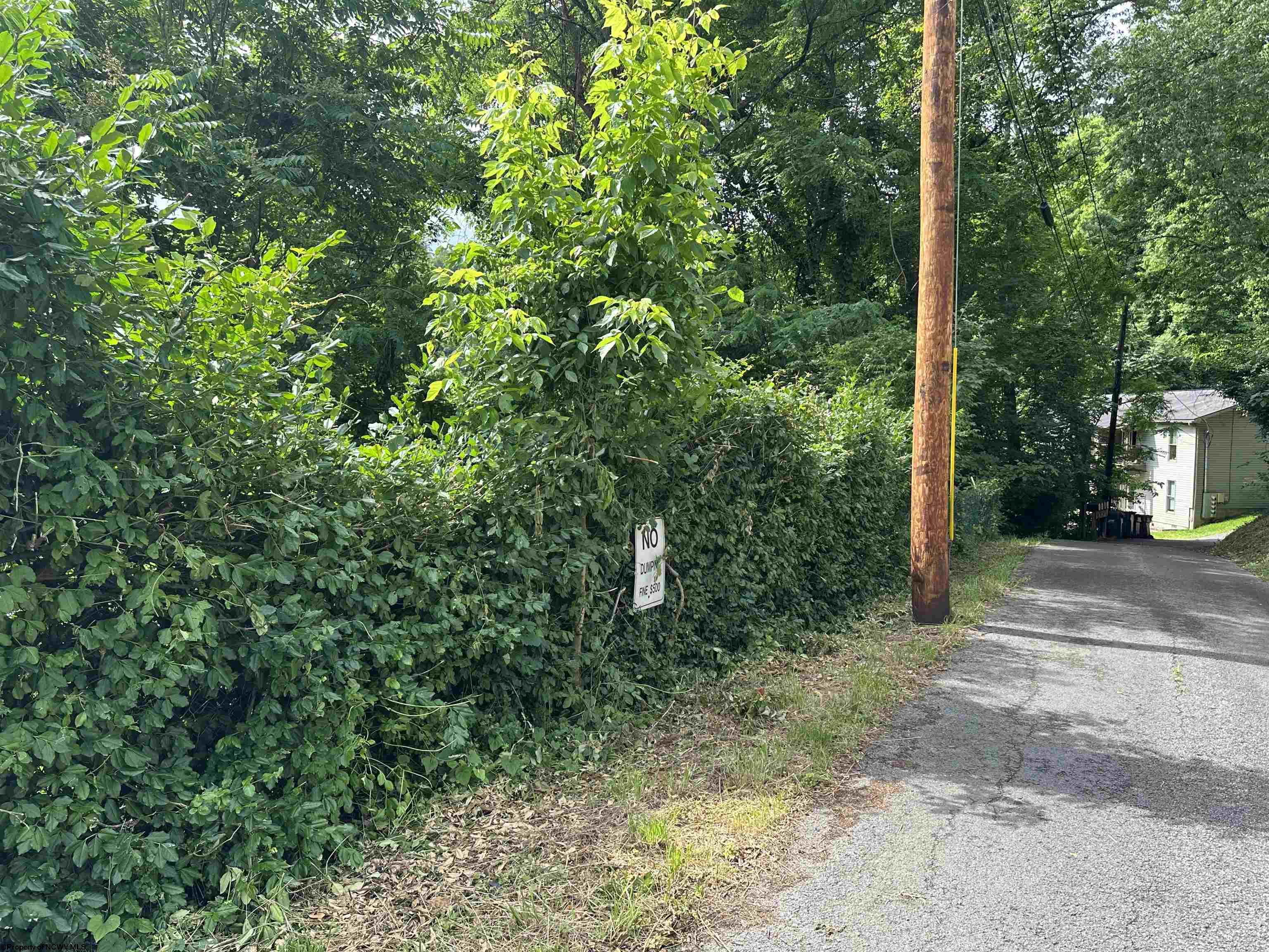 Gallery Image 10