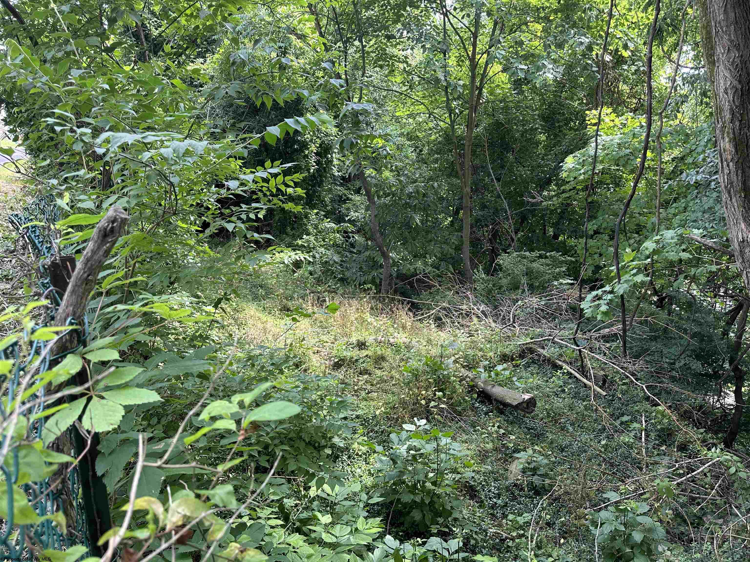 Gallery Image 14
