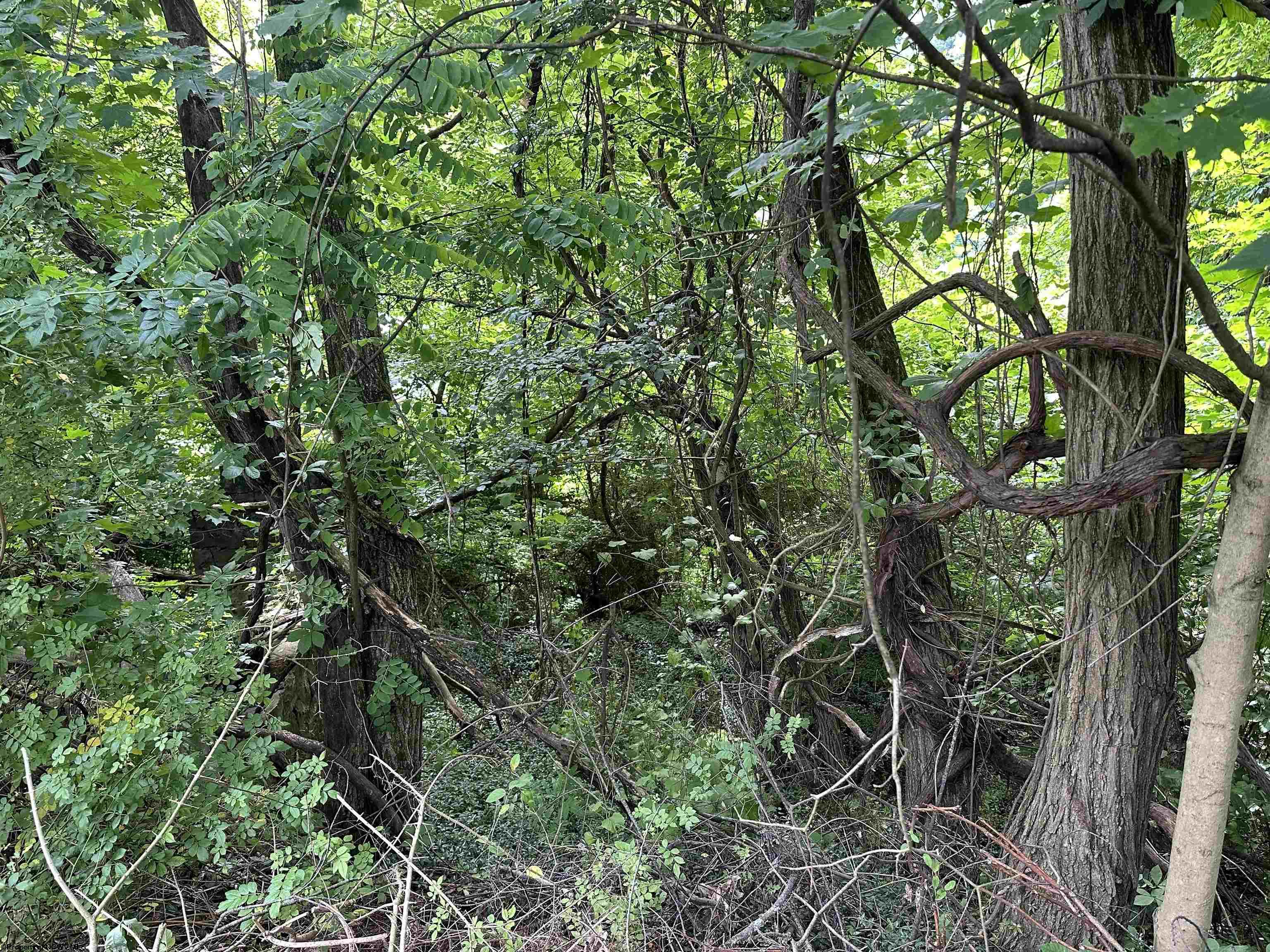 Gallery Image 15