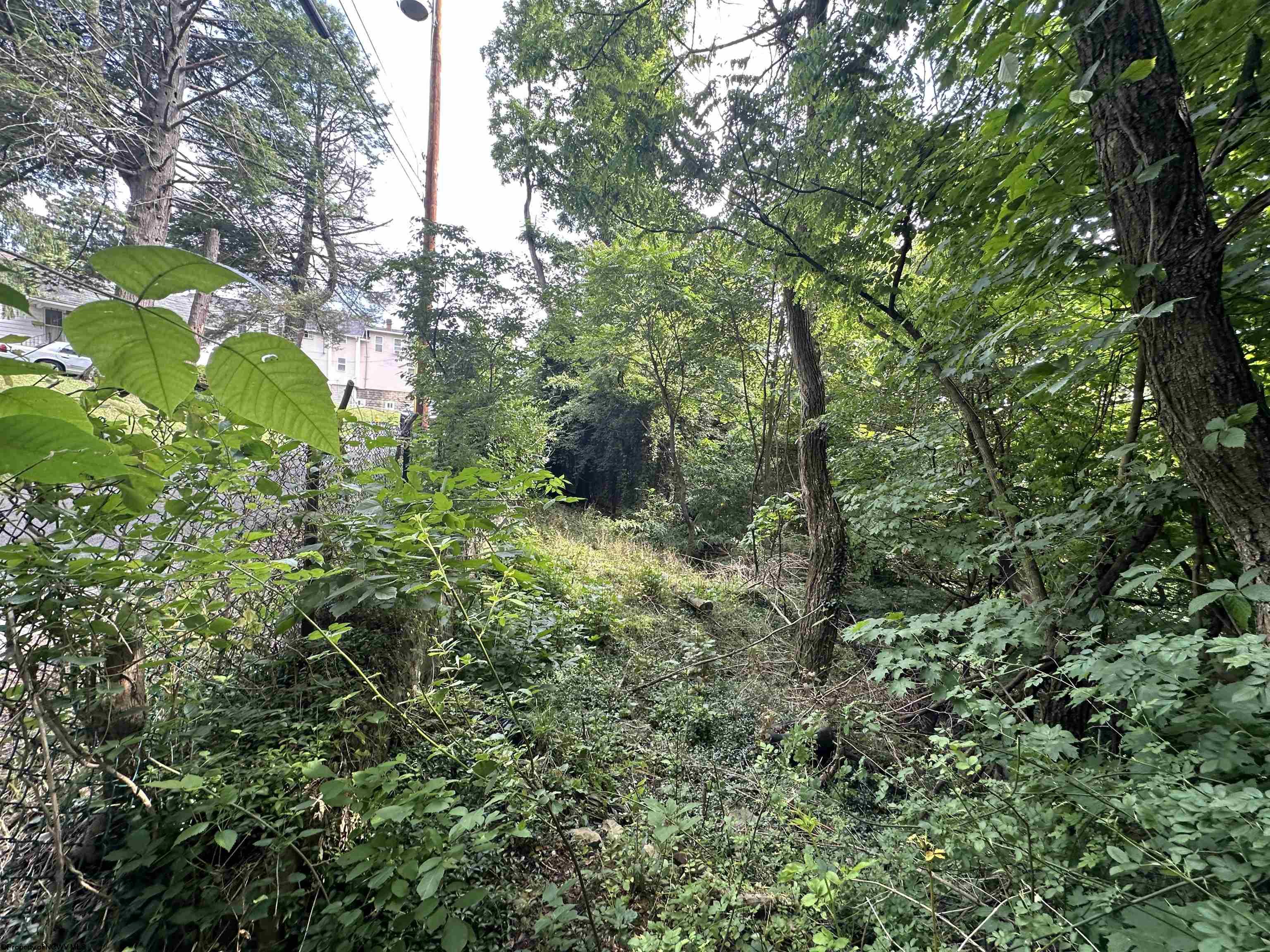 Gallery Image 16