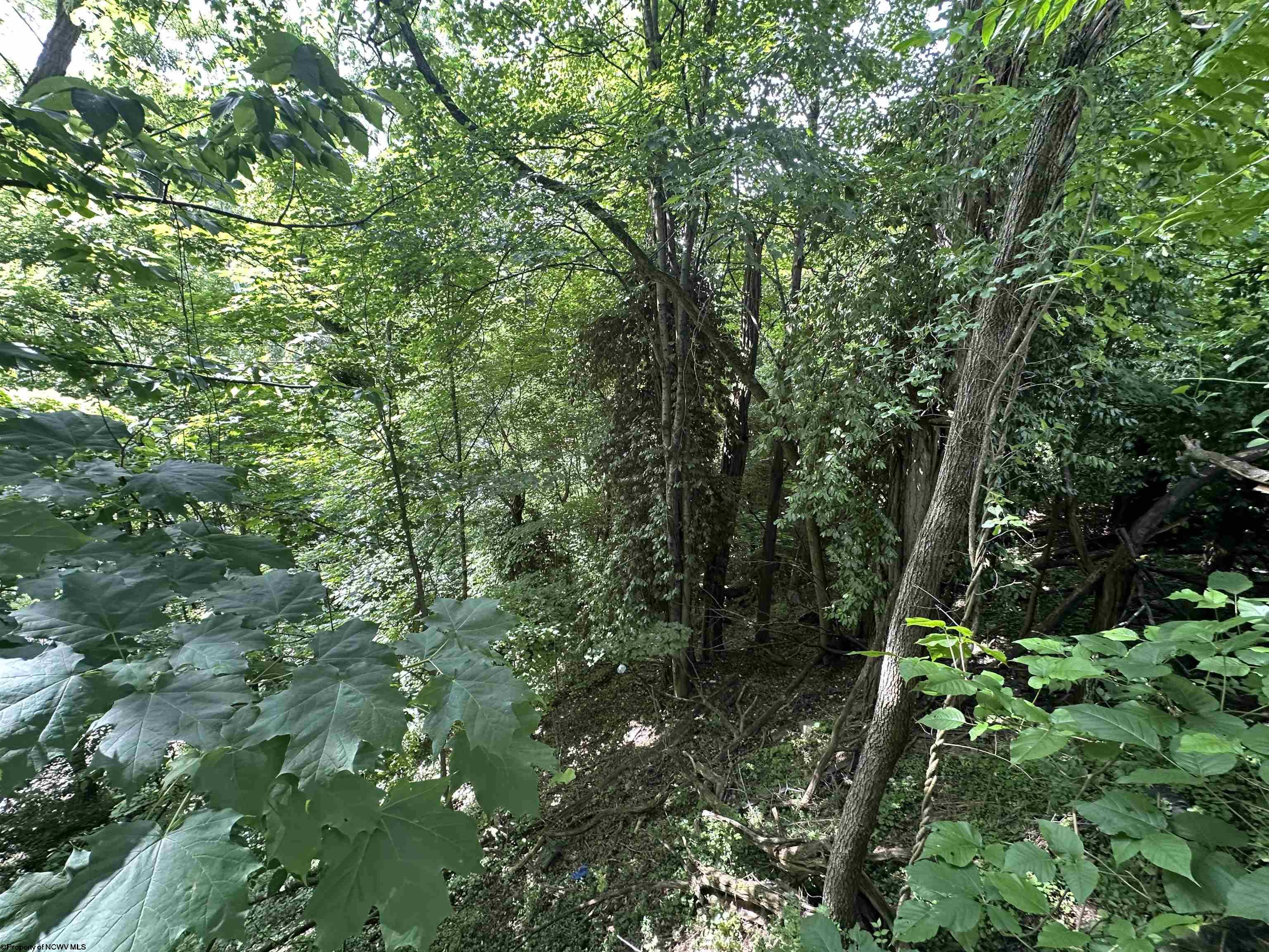 Gallery Image 17