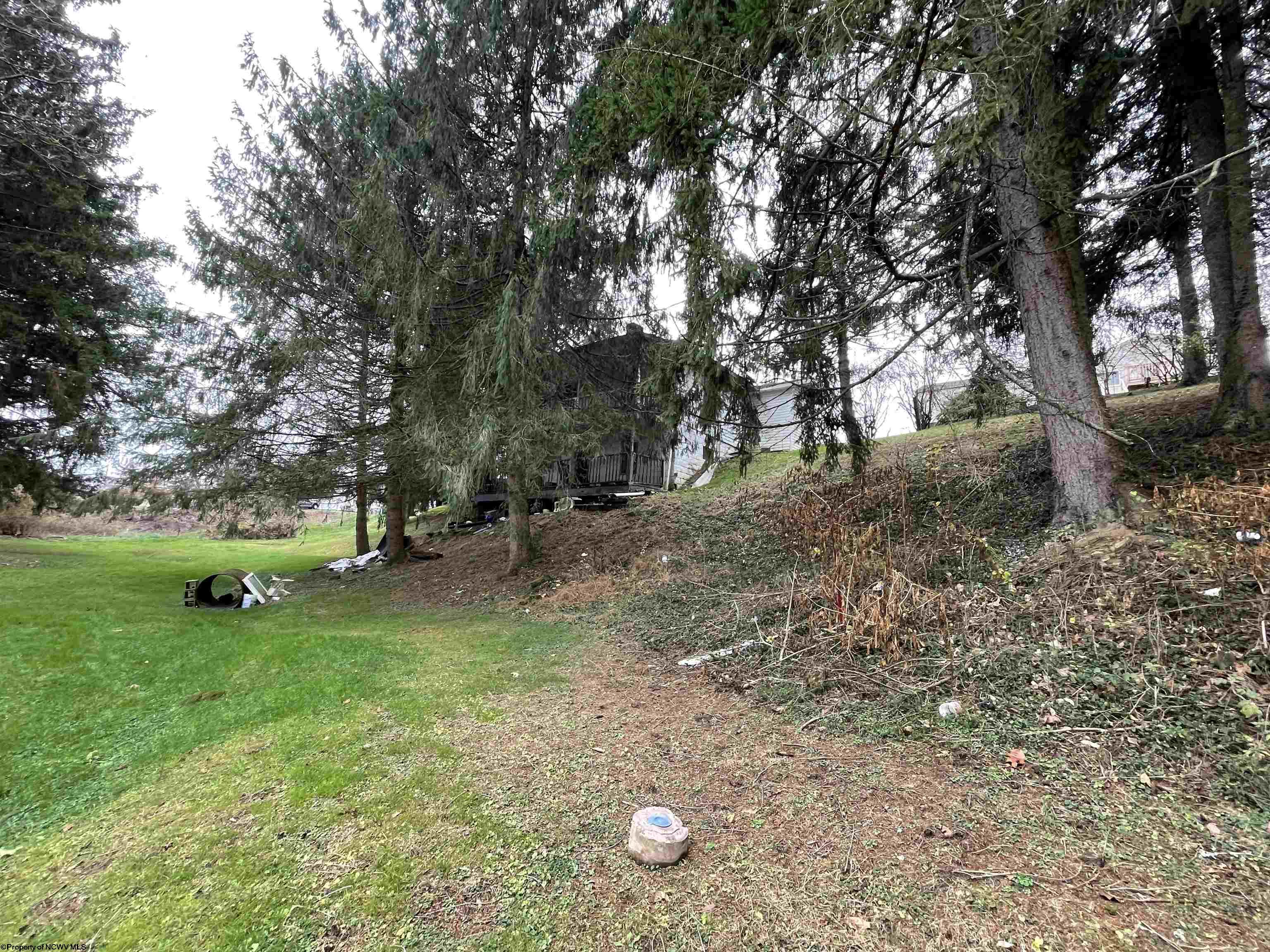 Gallery Image 10