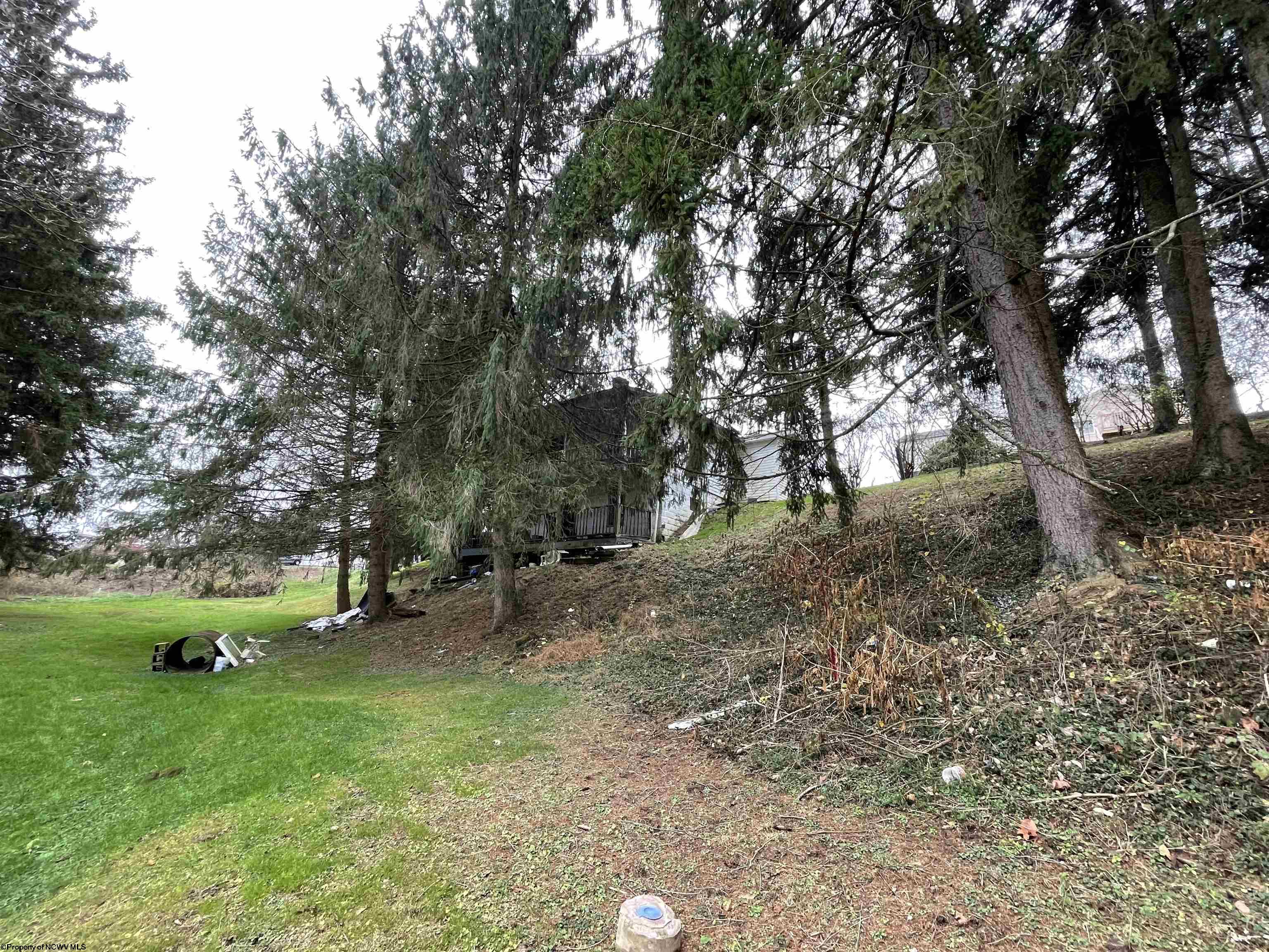 Gallery Image 12