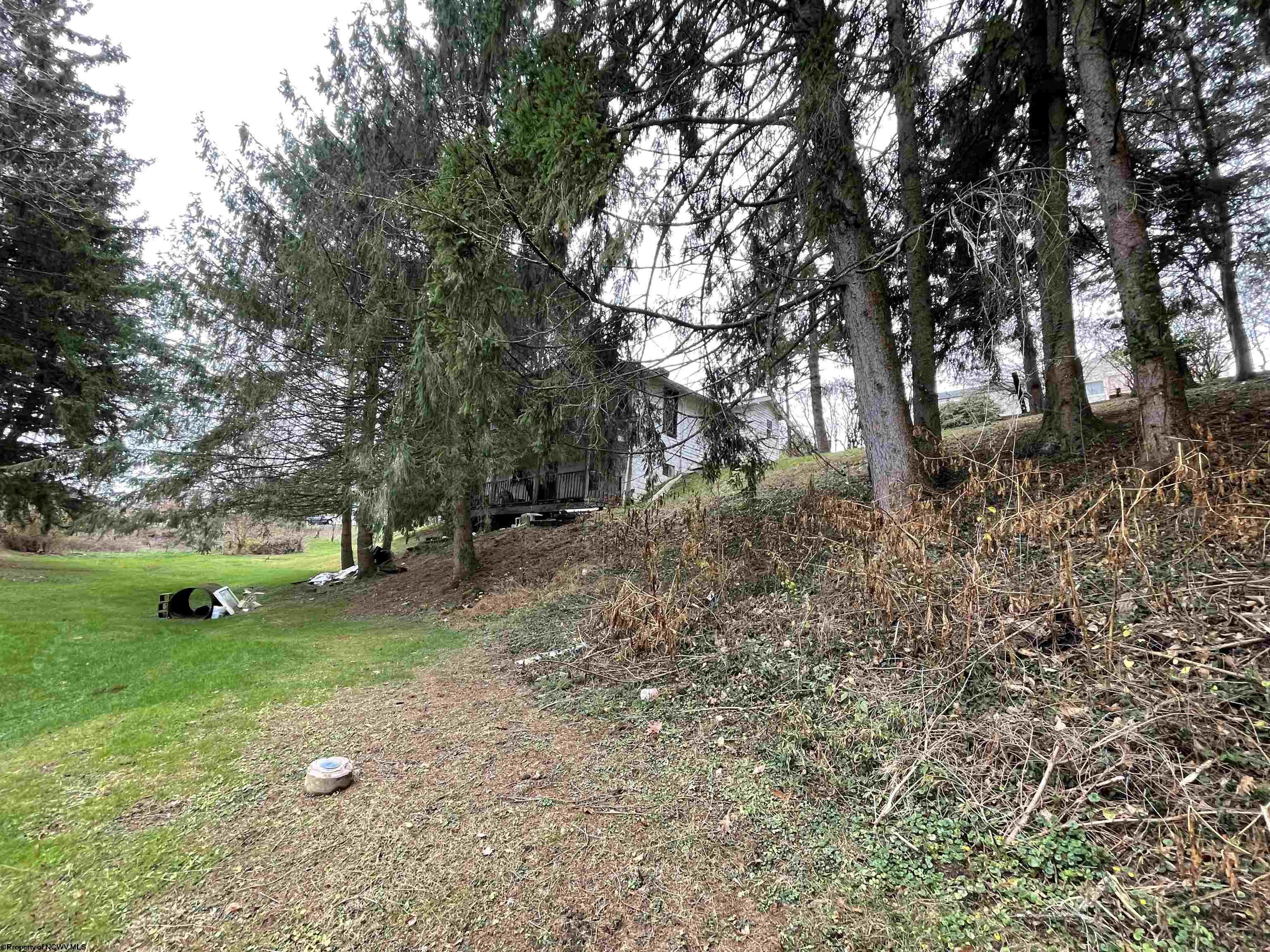 Gallery Image 13