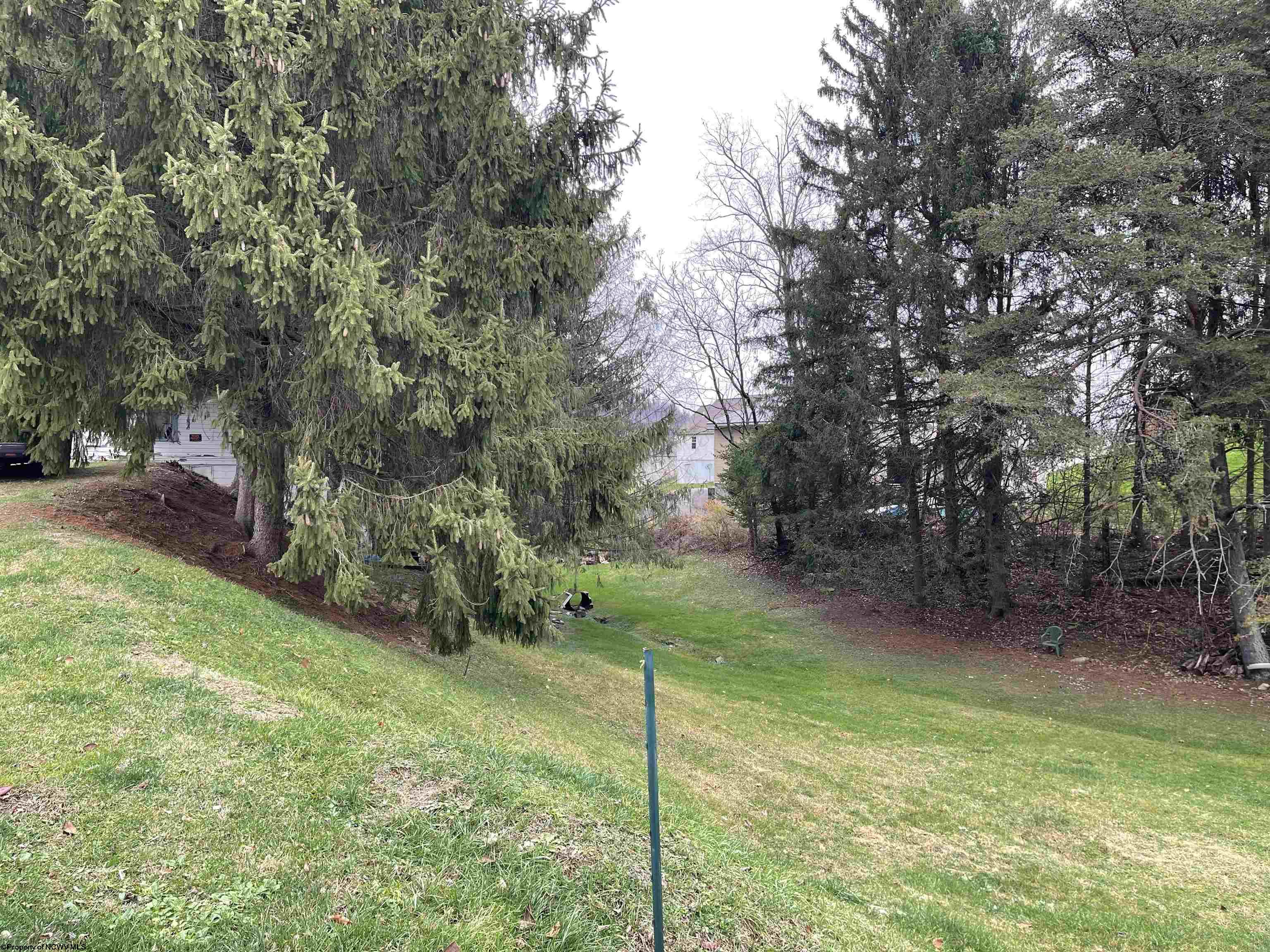 Gallery Image 14