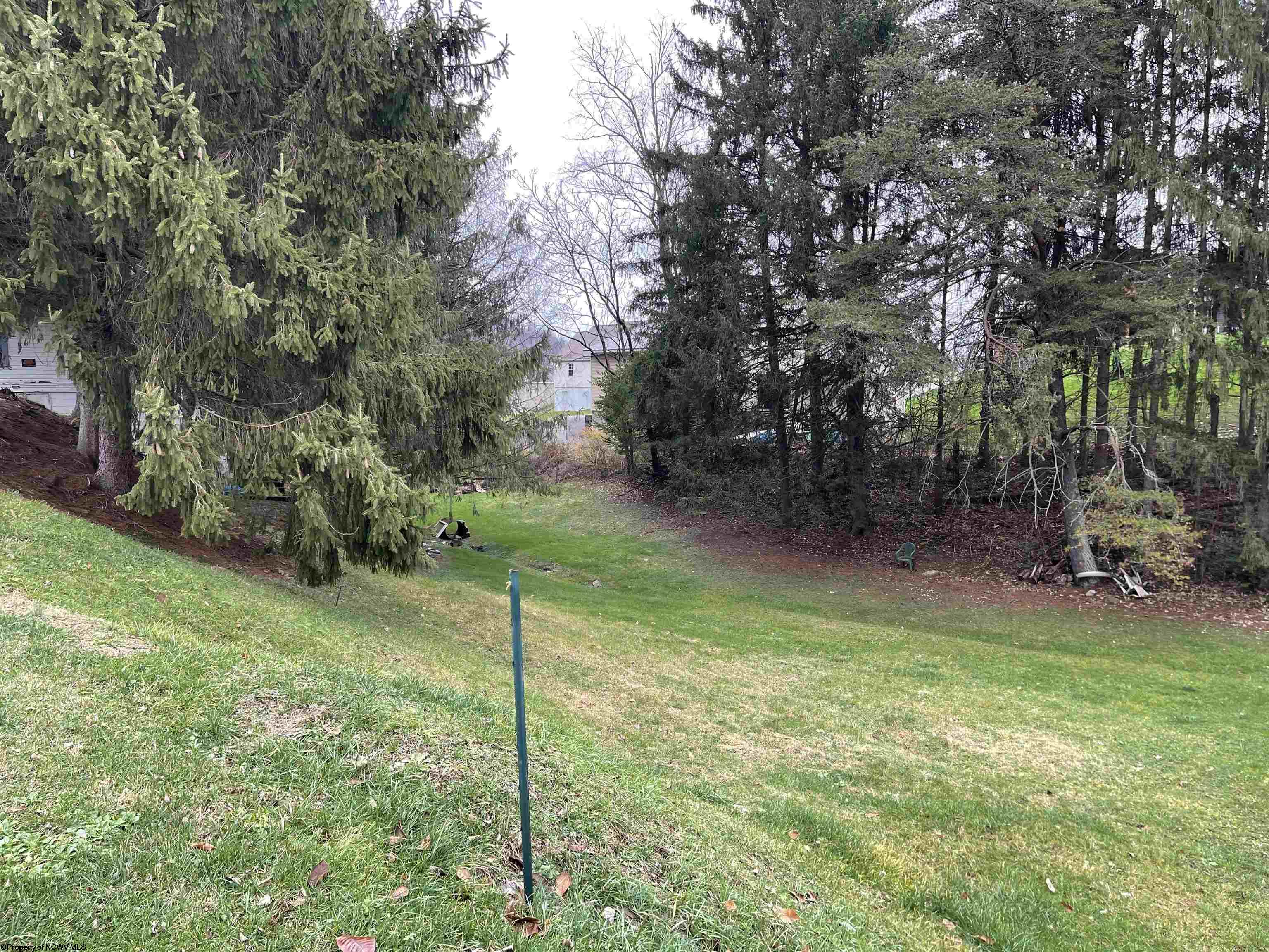 Gallery Image 15