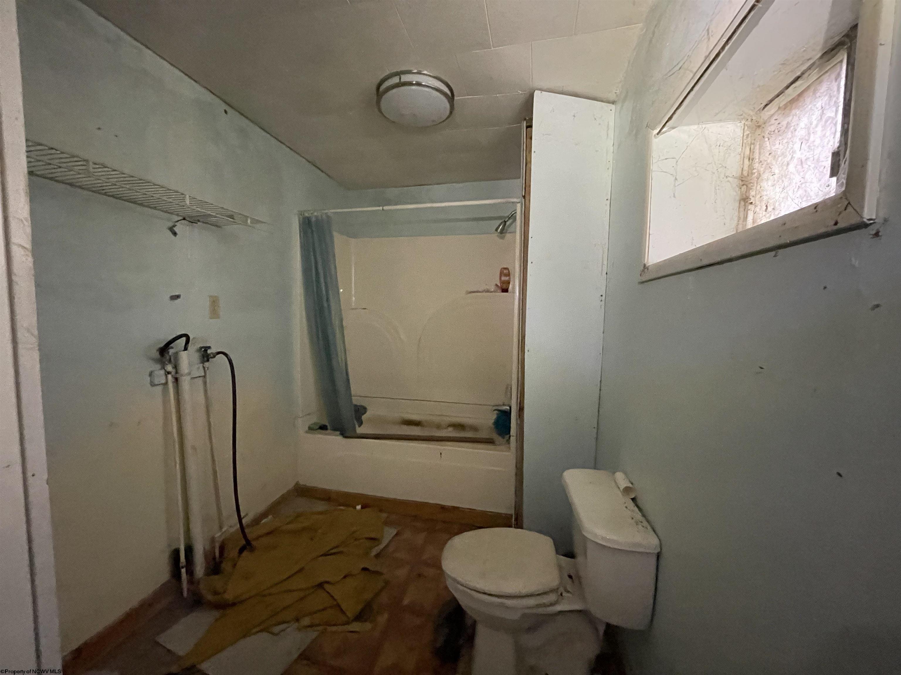 Gallery Image 17