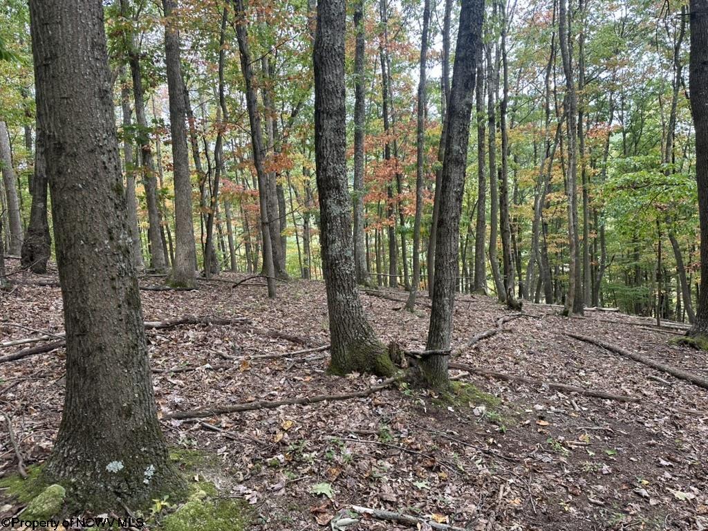 Gallery Image 11