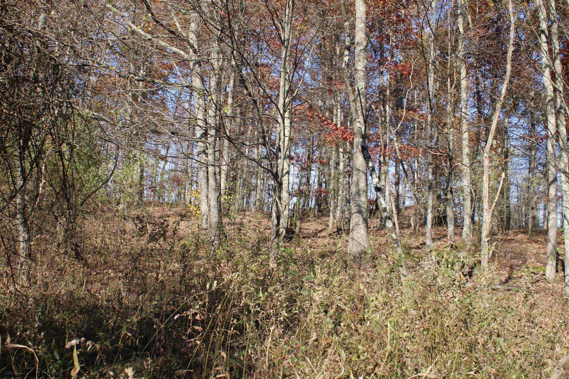 Gallery Image 11
