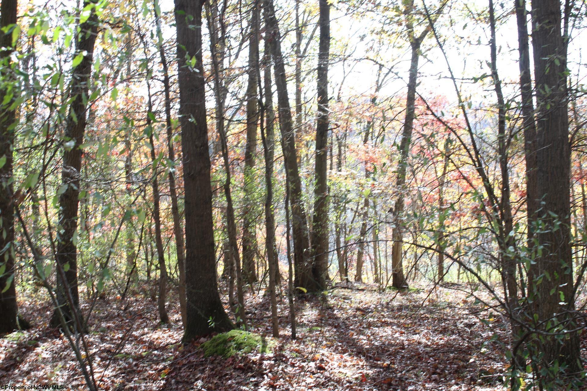 Gallery Image 13
