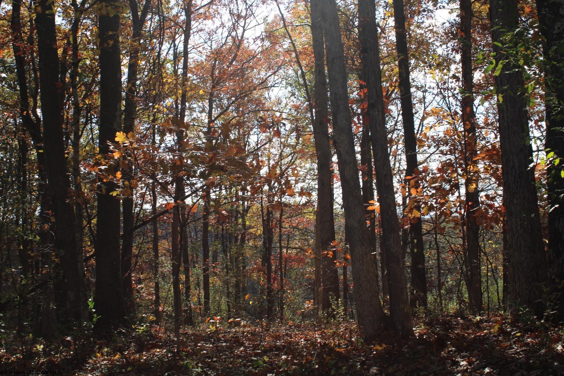 Gallery Image 17