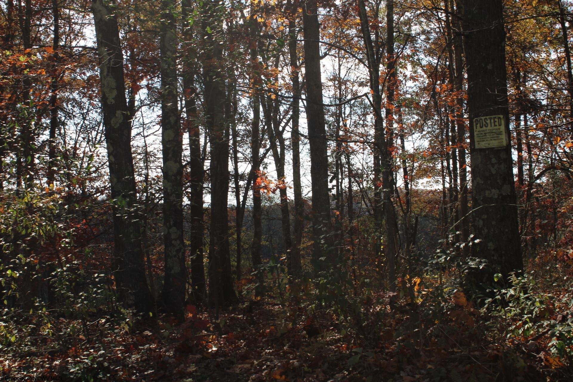 Gallery Image 18