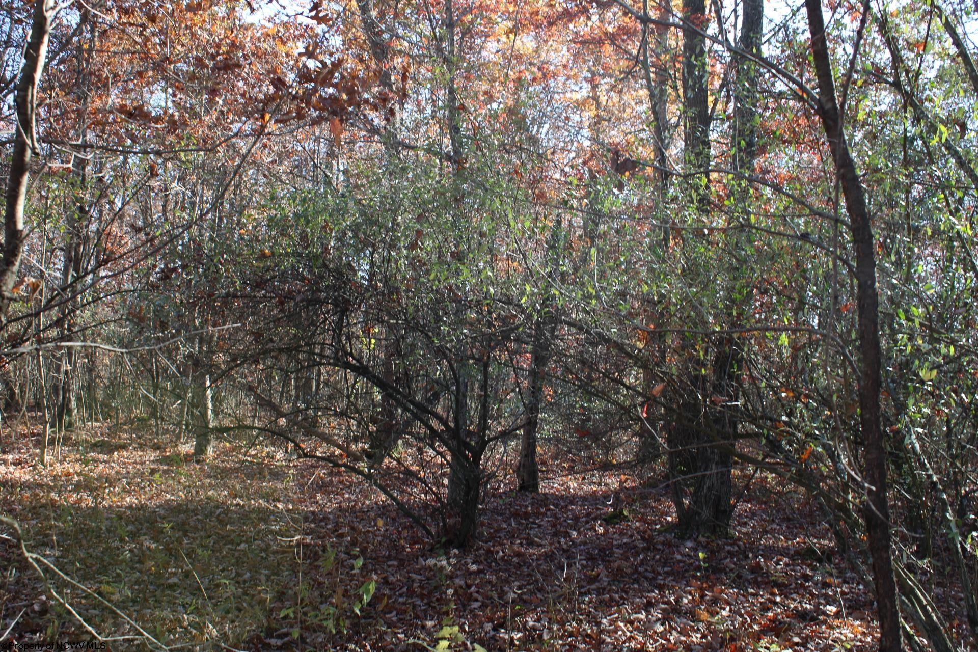 Gallery Image 7