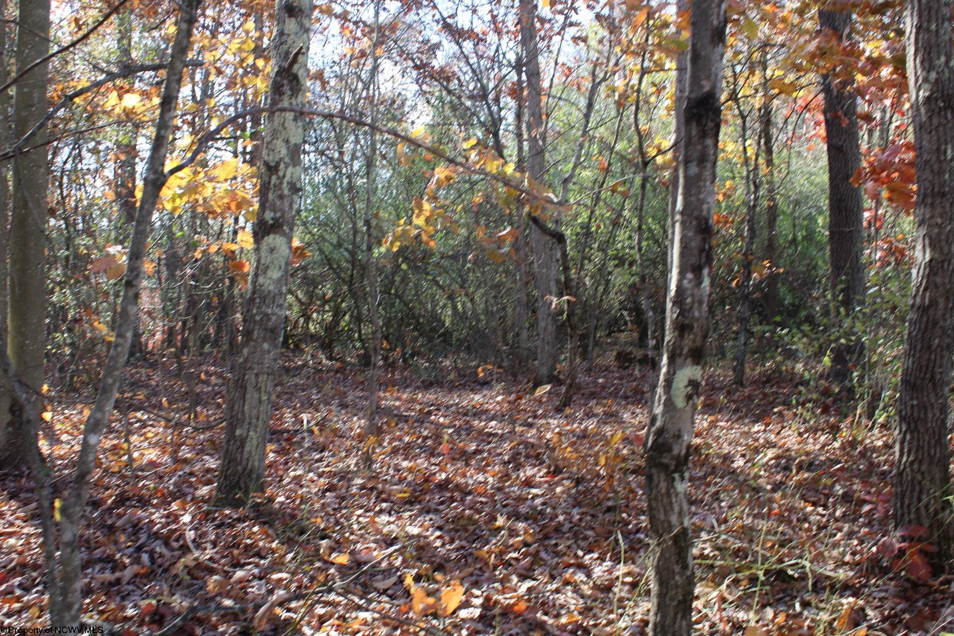 Gallery Image 8