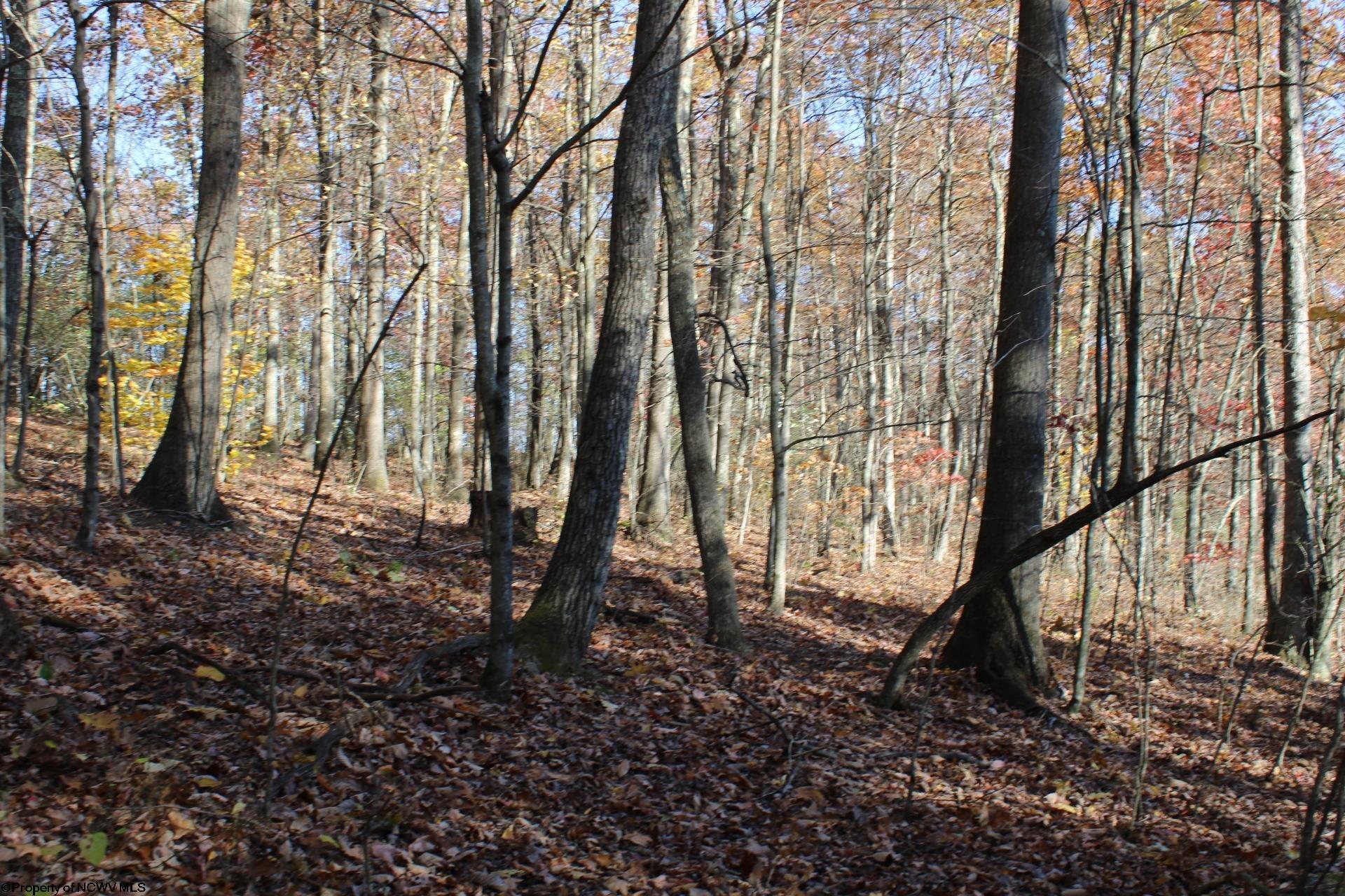 Gallery Image 10