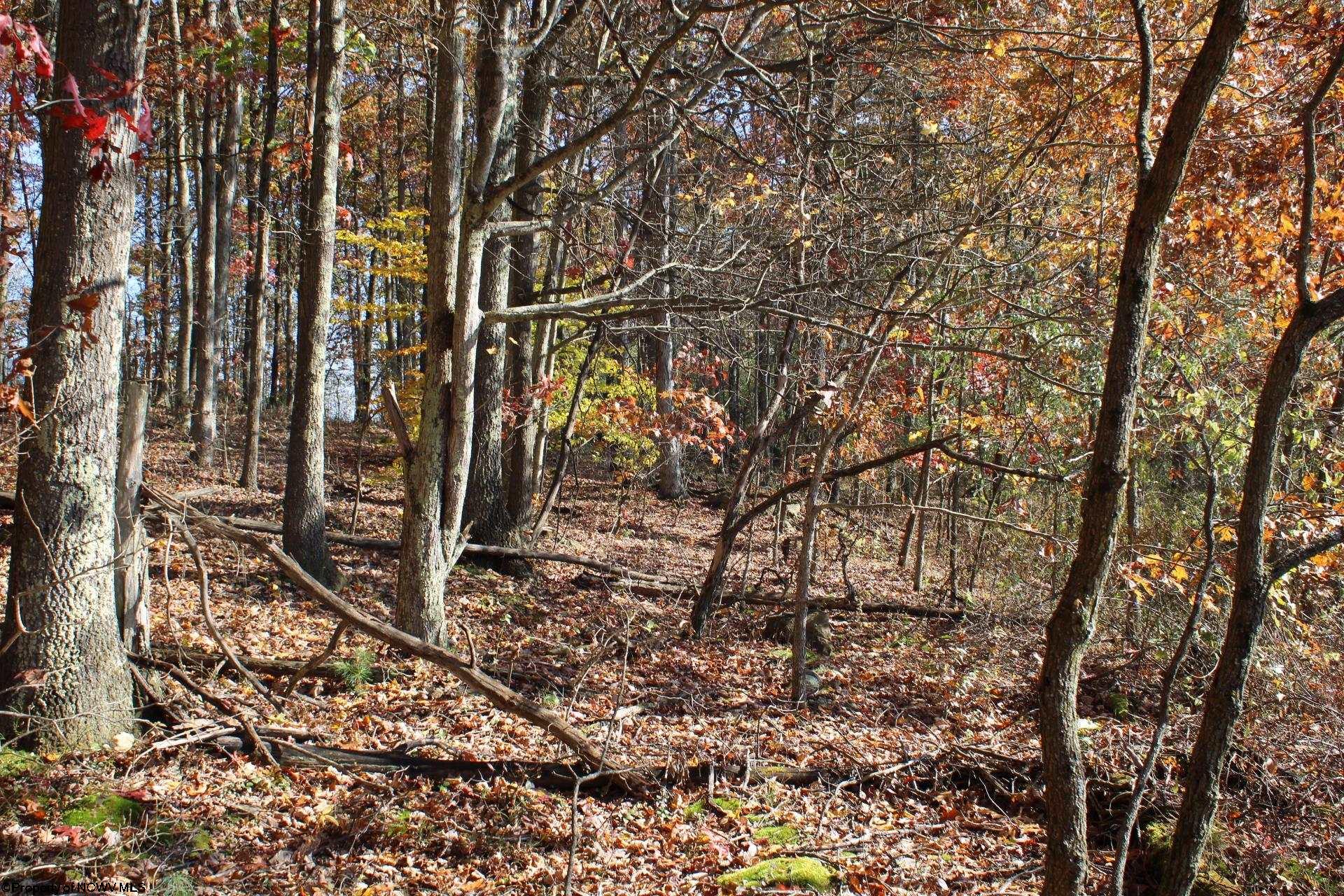 Gallery Image 17