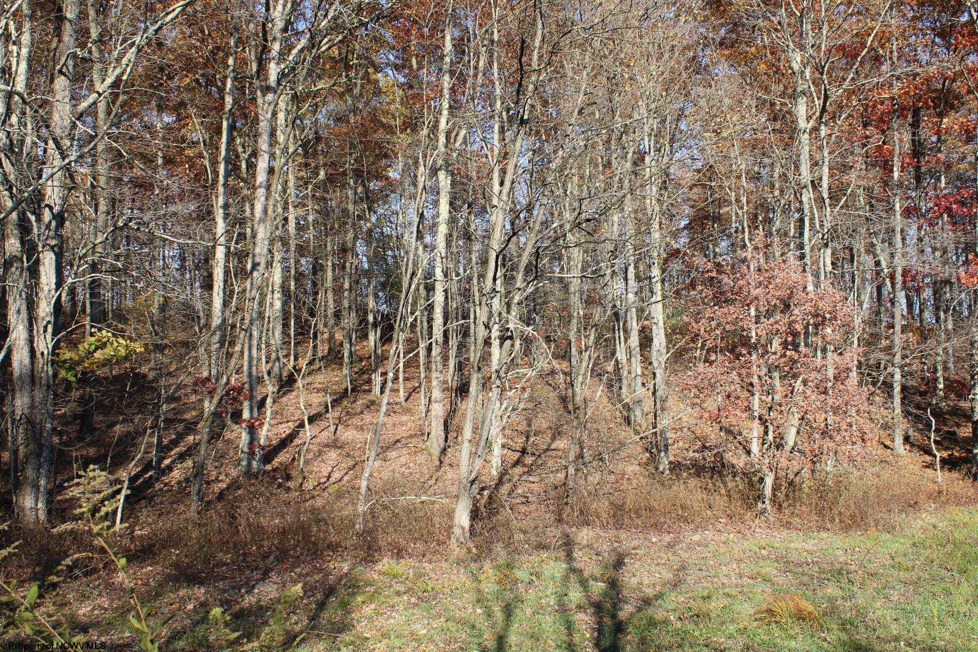 Gallery Image 6
