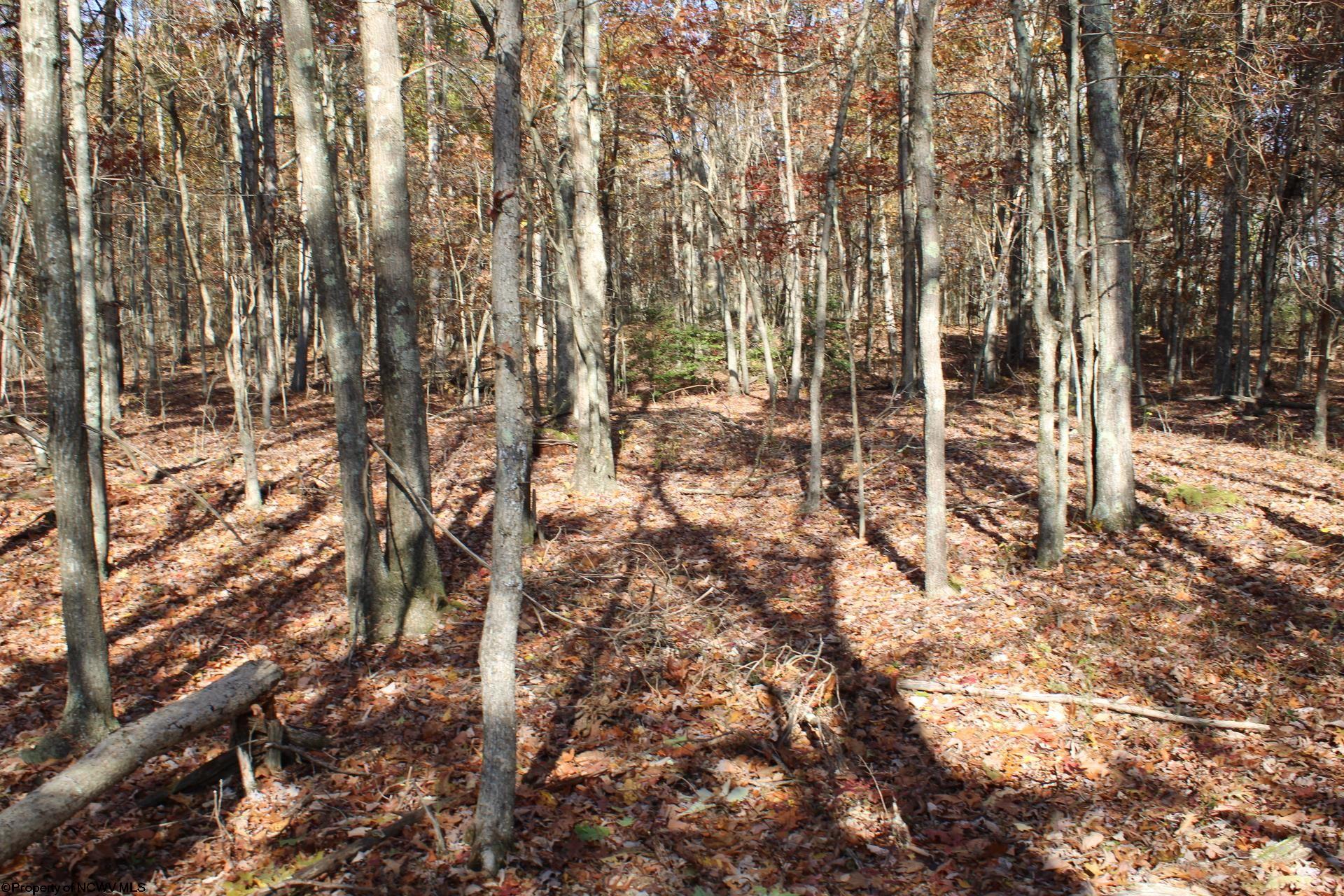 Gallery Image 17
