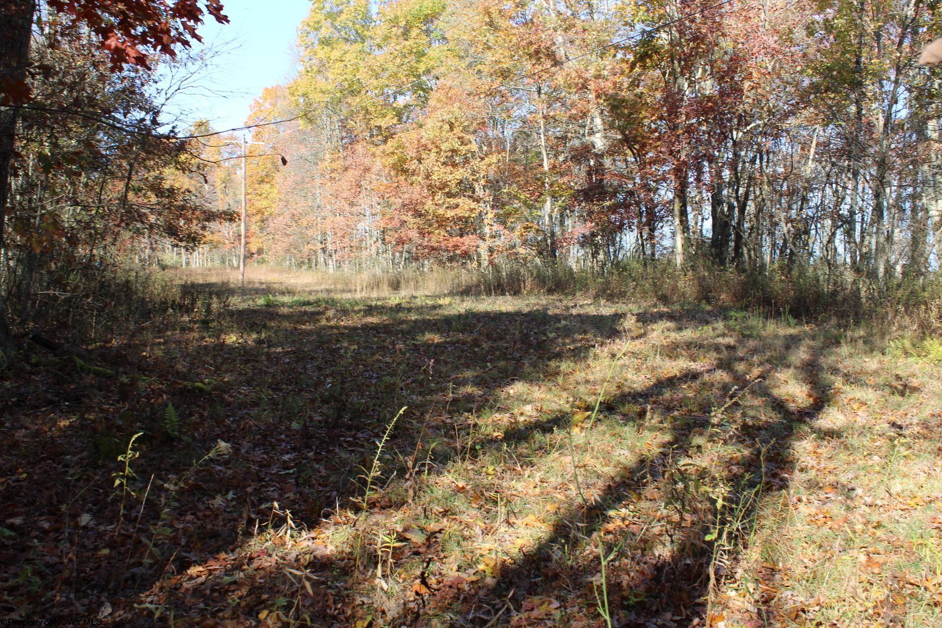 Gallery Image 18