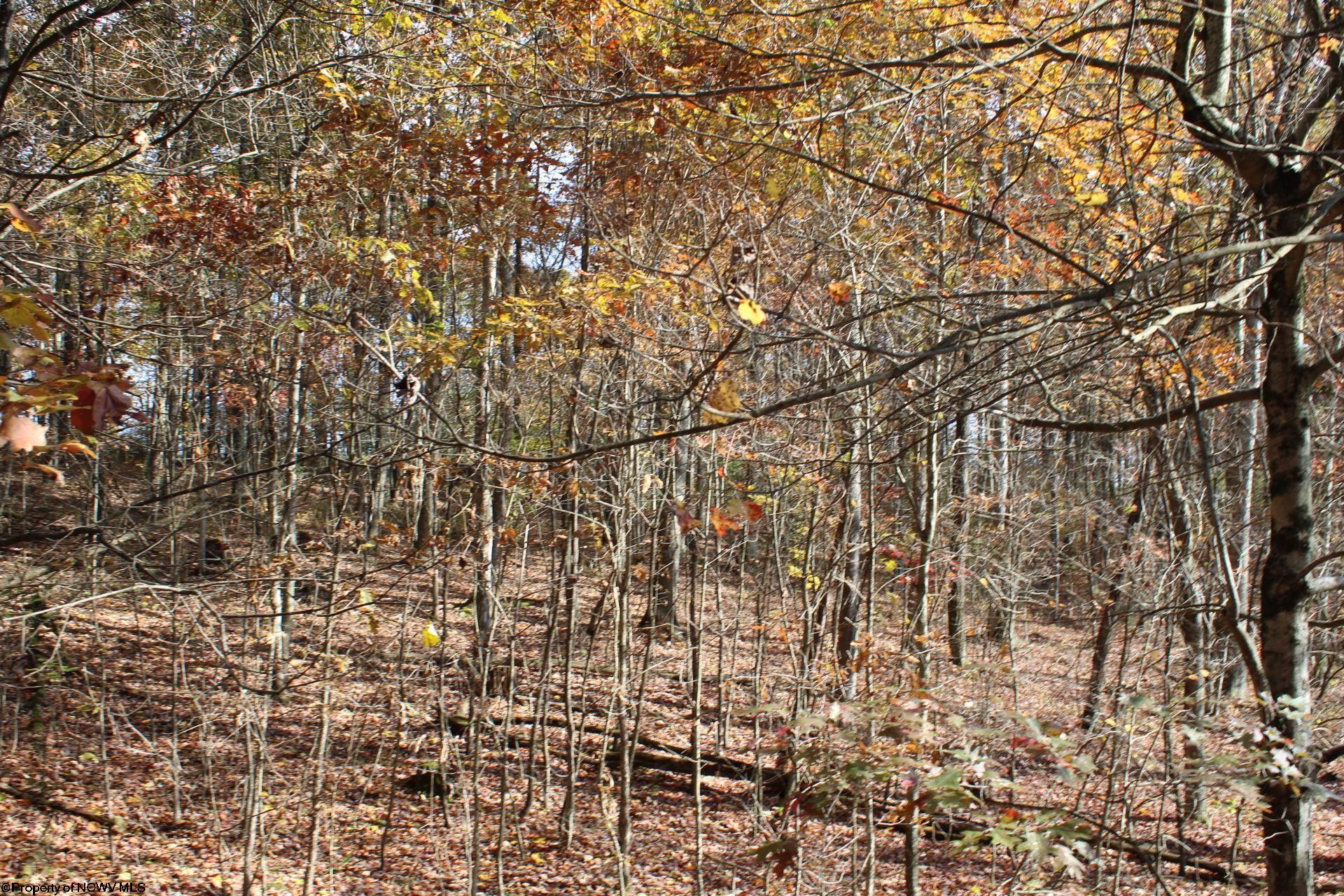 Gallery Image 19